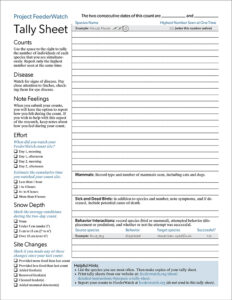 FeederWatch Tally Sheet