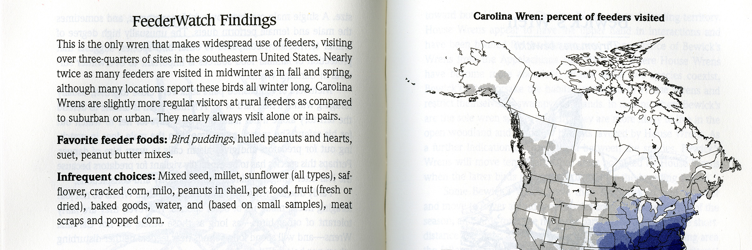 Backyard Bird-Feeding Resources - Project FeederWatch, image size:2400x800