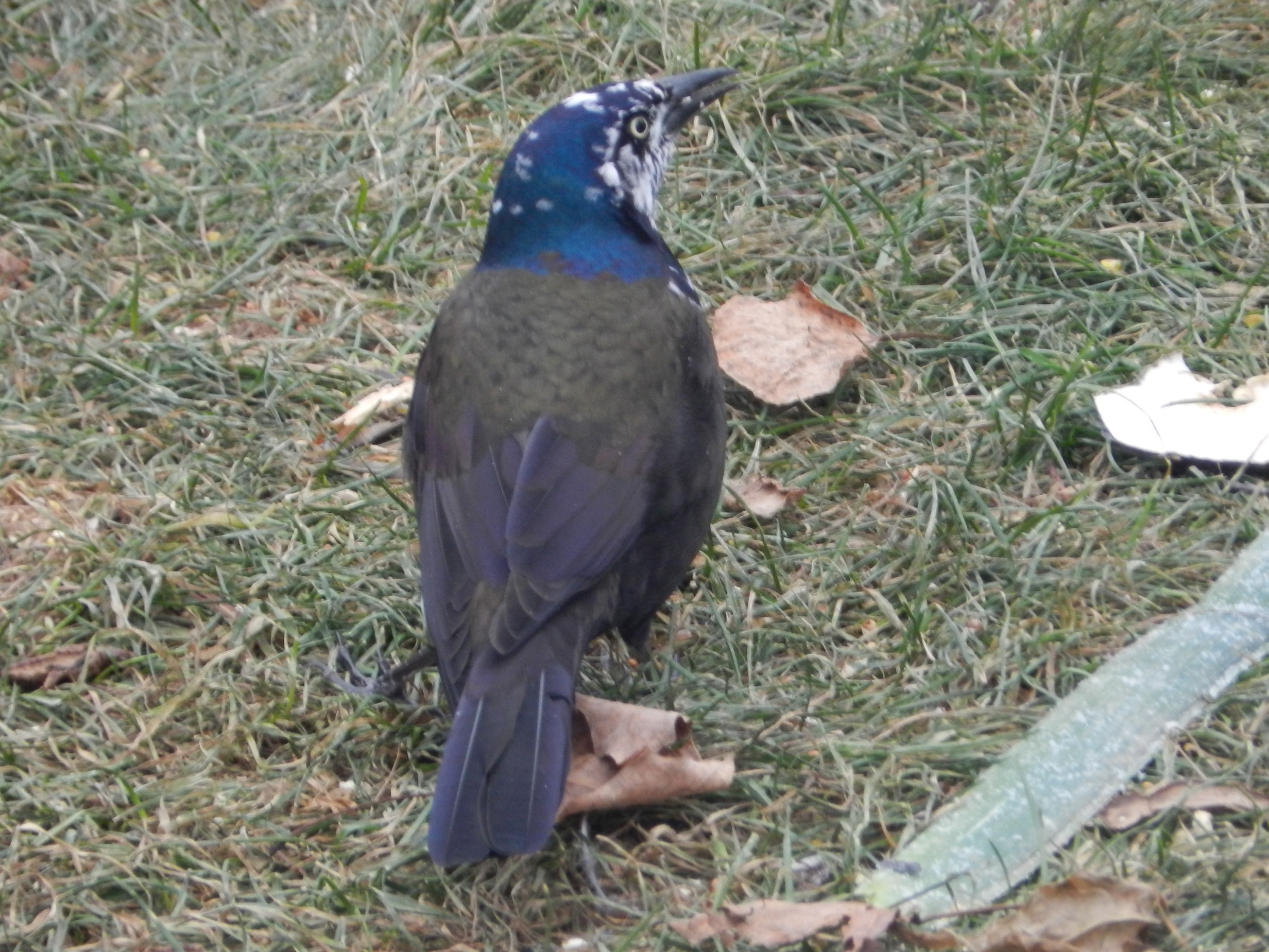 Featured Image