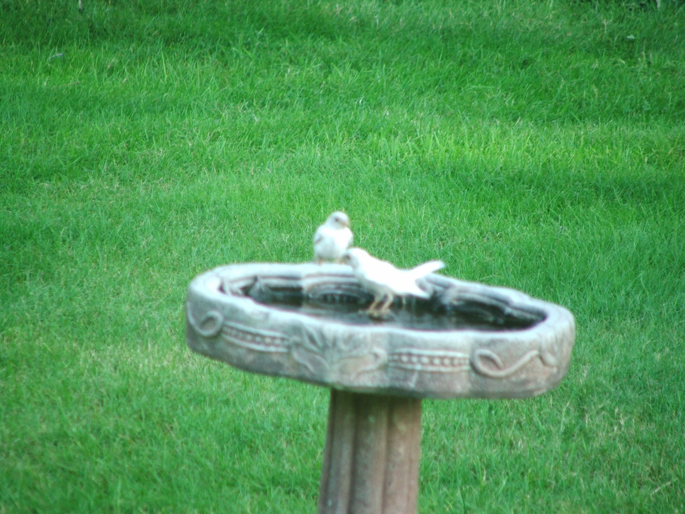 Additional Image 2