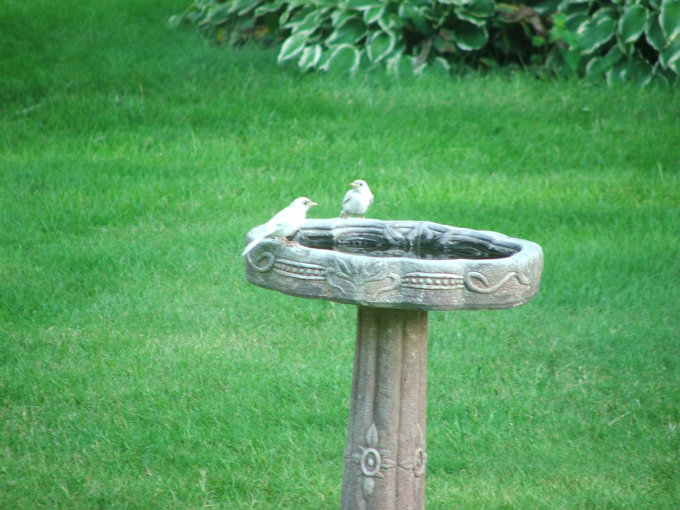 Additional Image 3