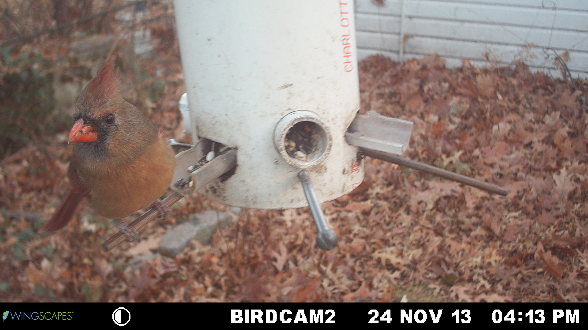 Additional Image 2