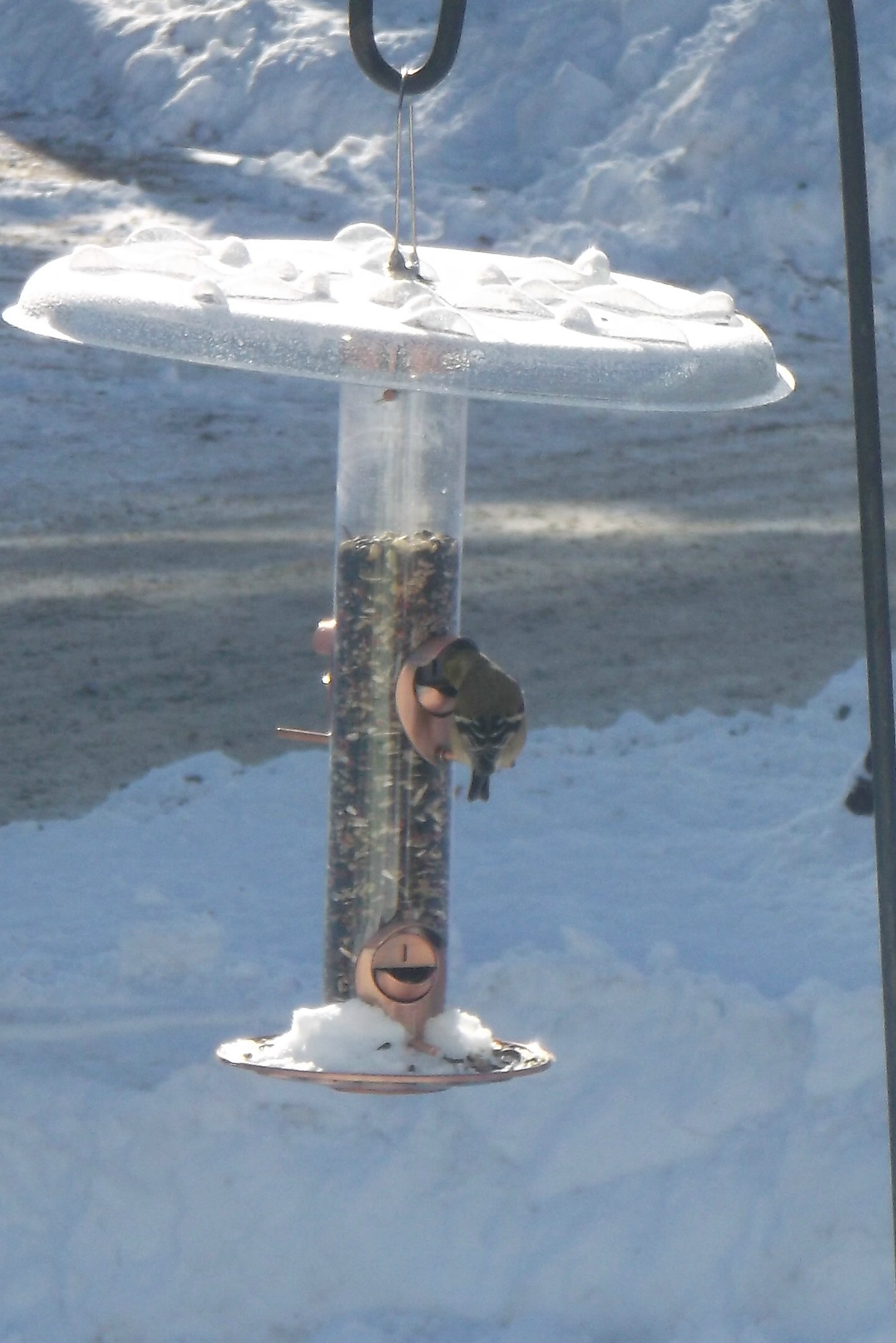 Additional Image 2