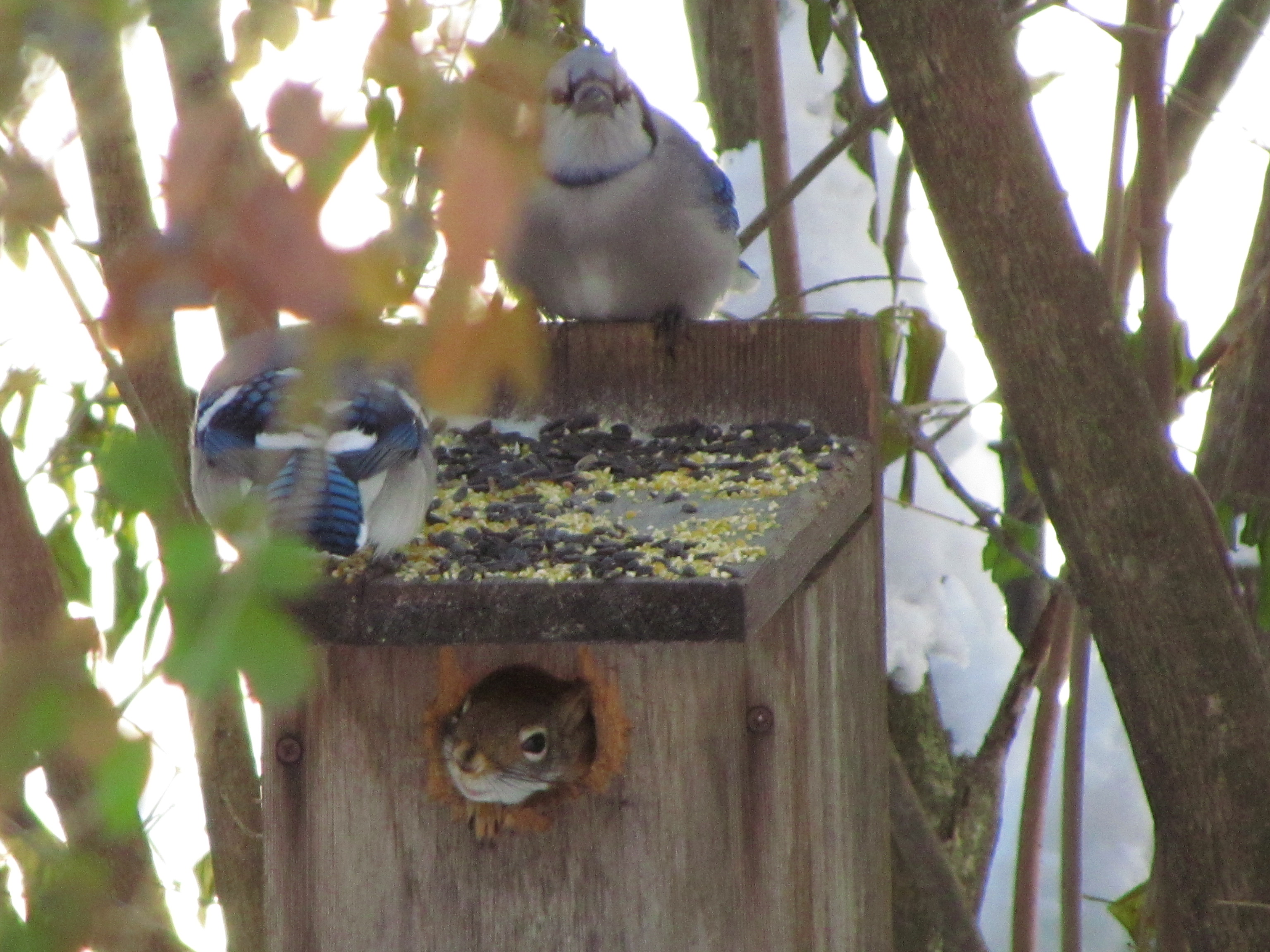 Additional Image 2