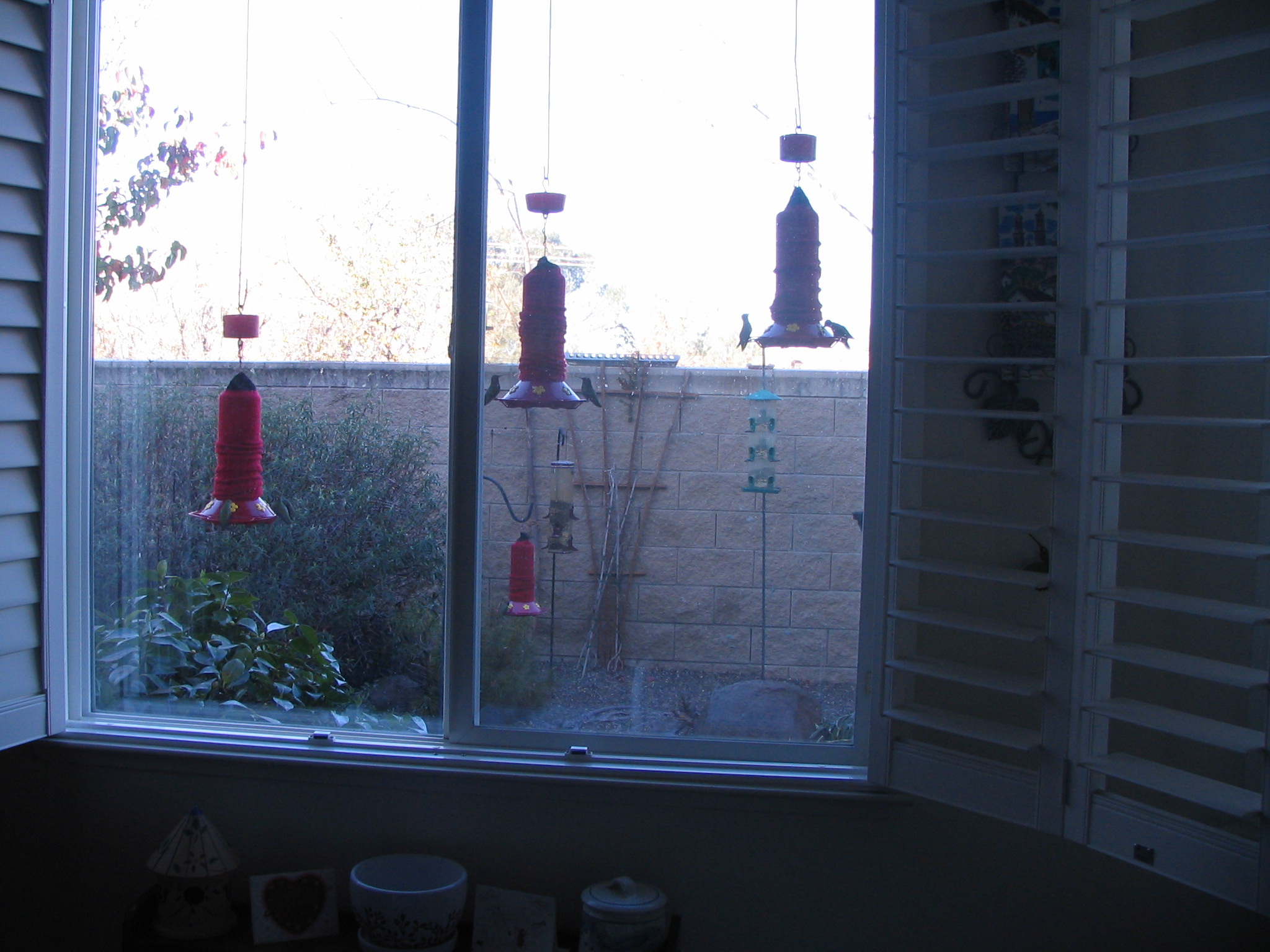 Additional Image 4