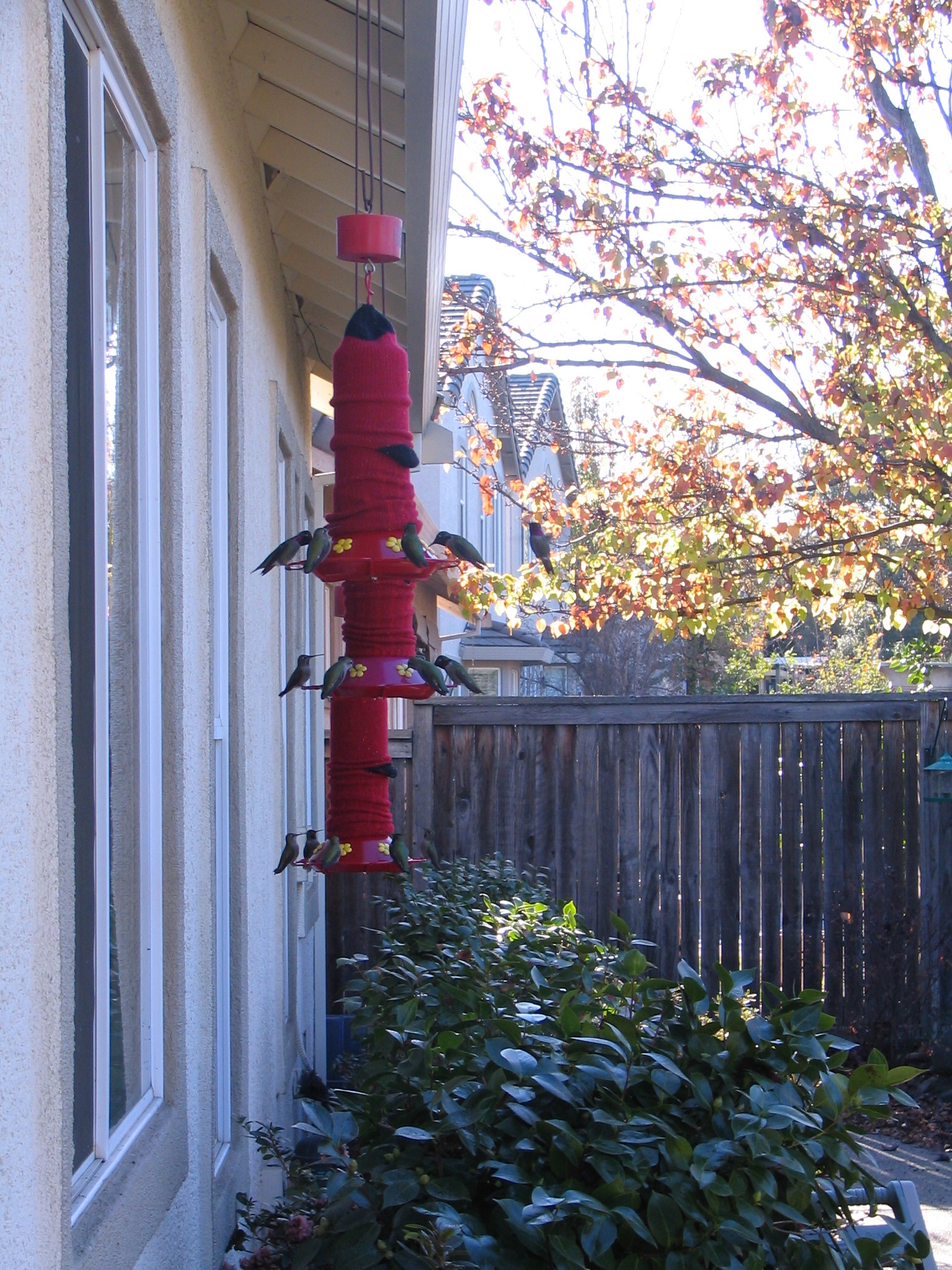 Additional Image 2