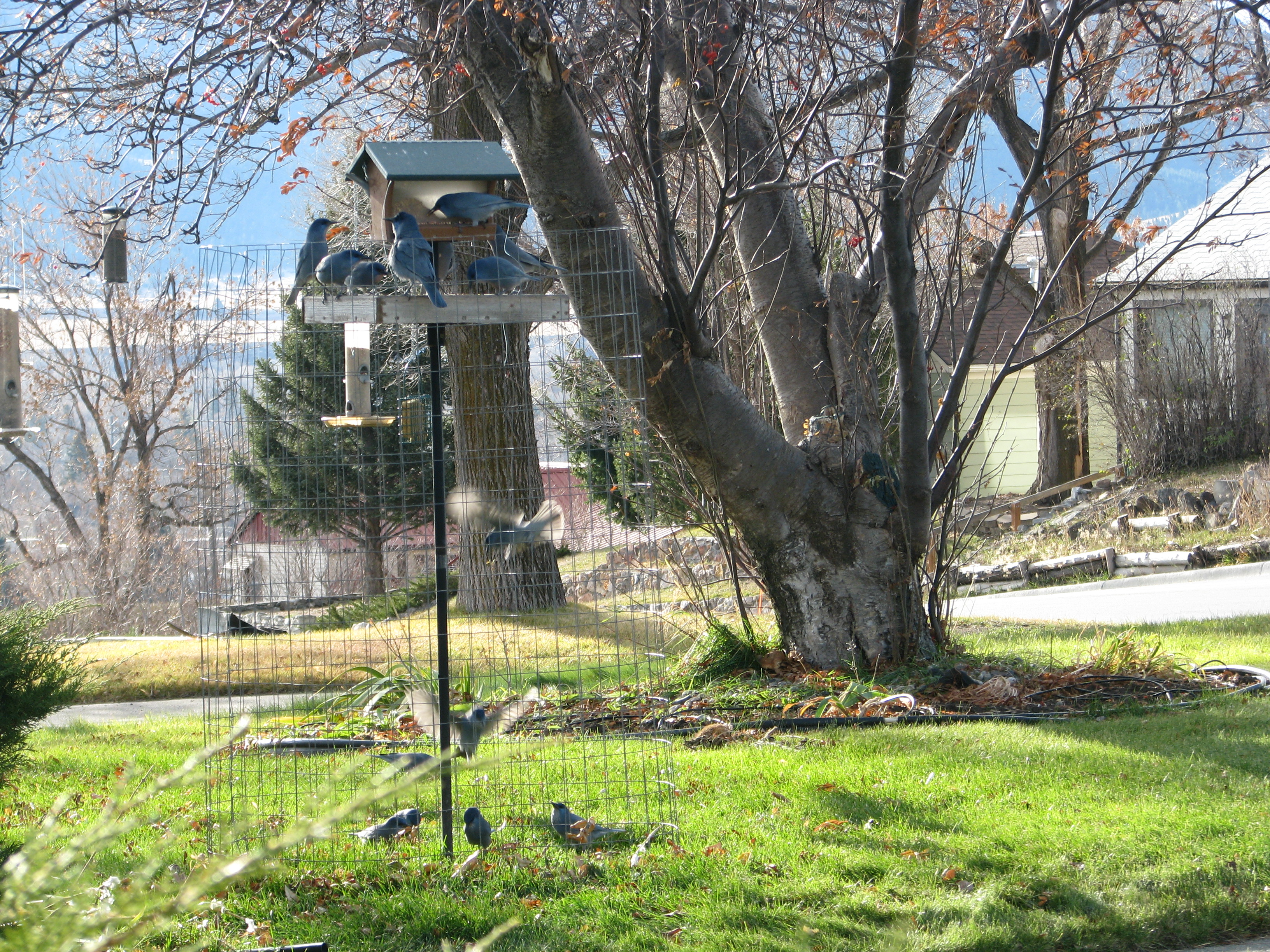 Additional Image 3