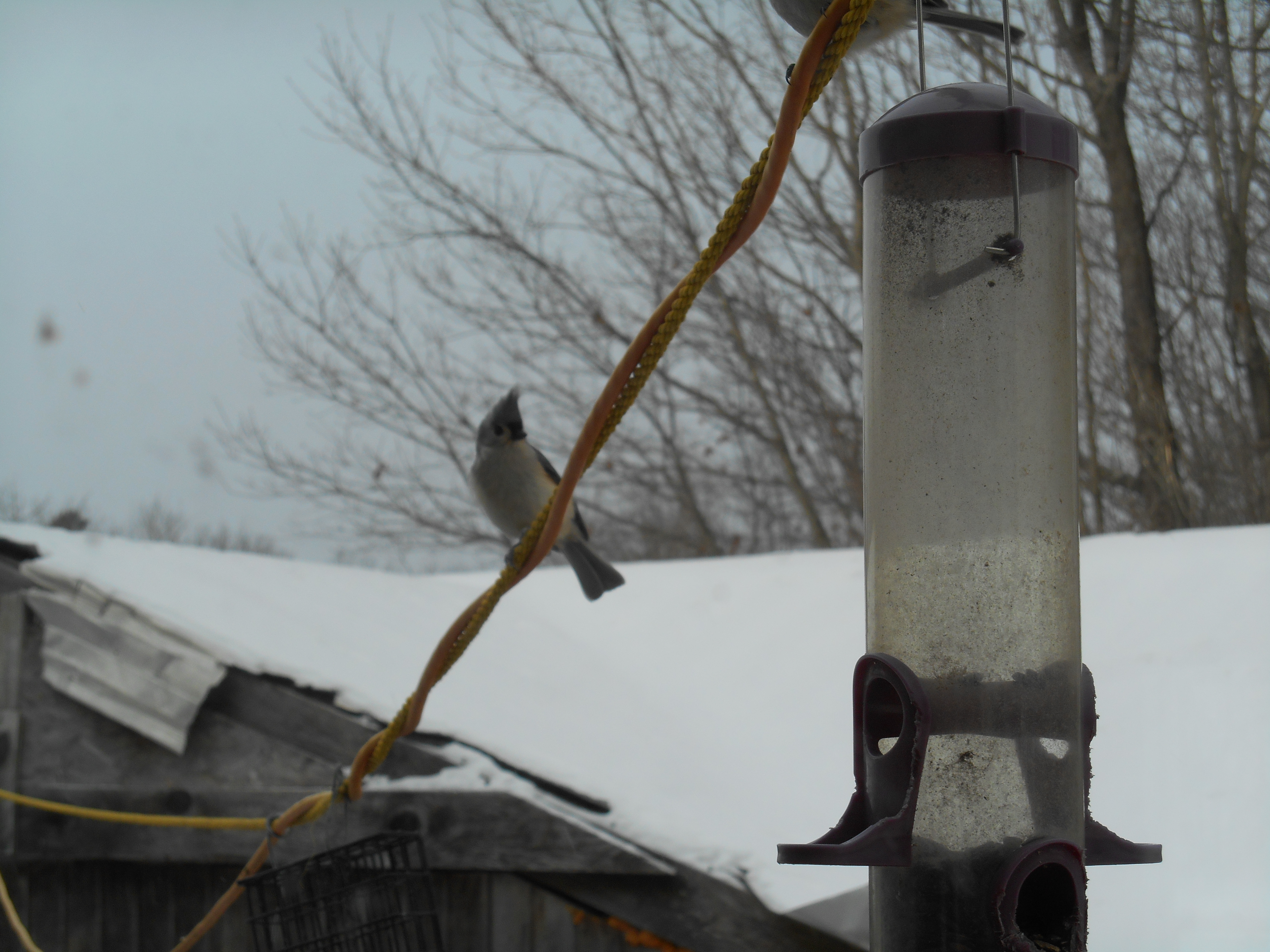 Additional Image 2