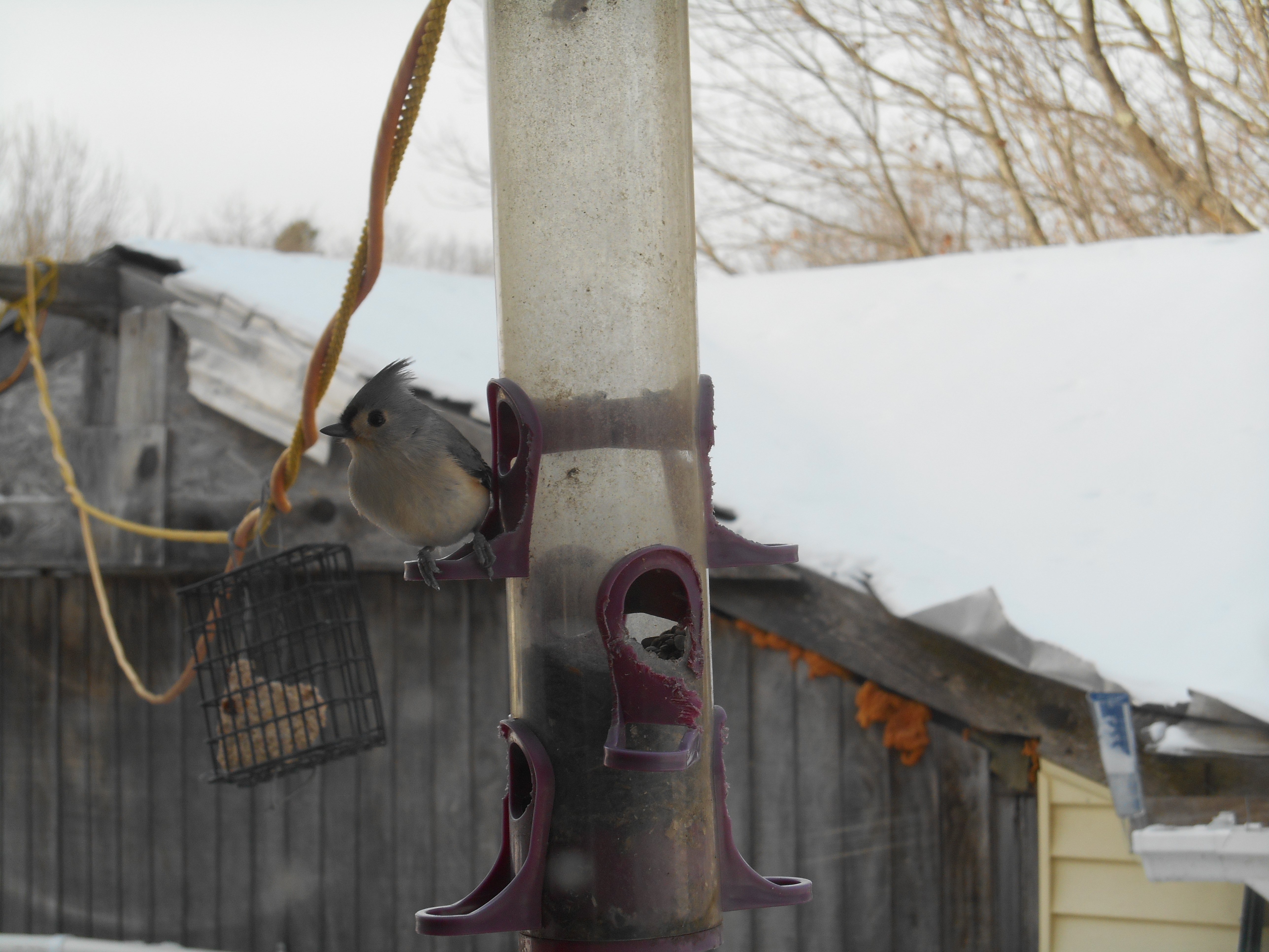 Additional Image 3