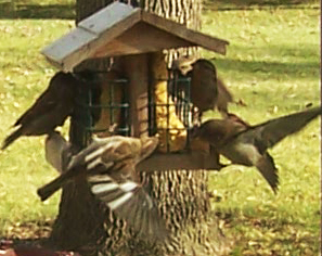 Additional Image 2