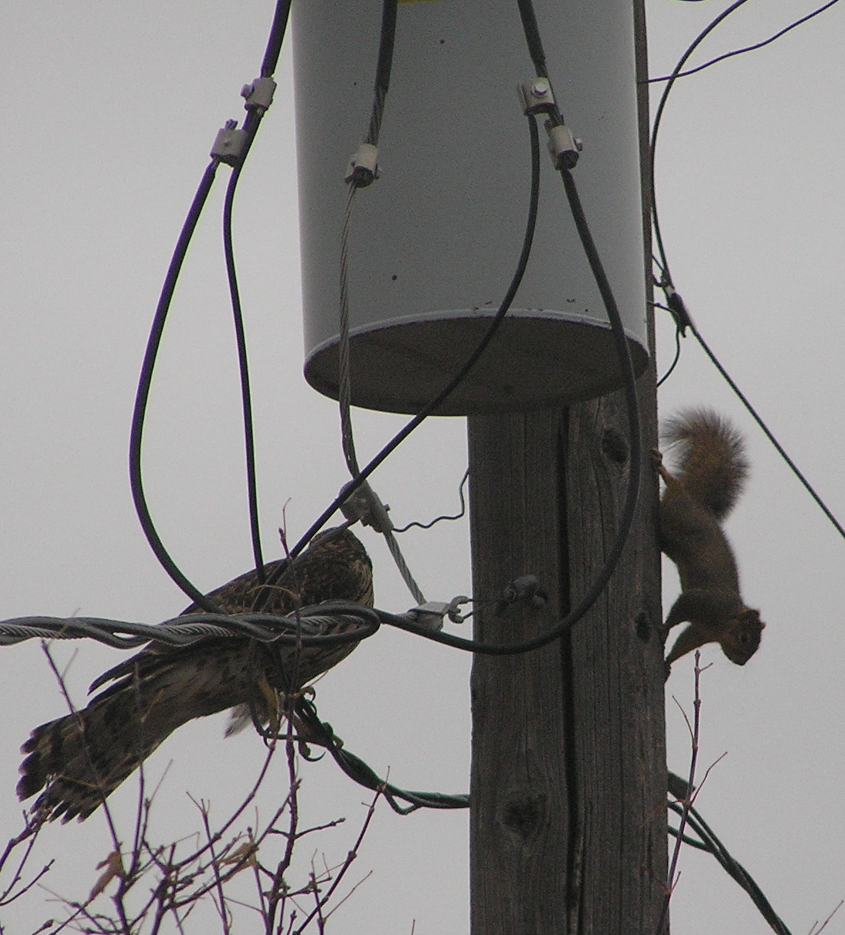Additional Image 2
