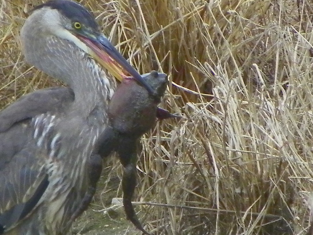 Additional Image 2