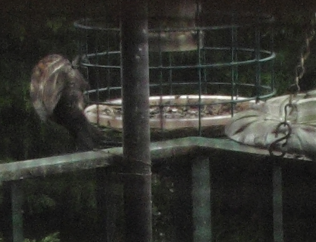Additional Image 2