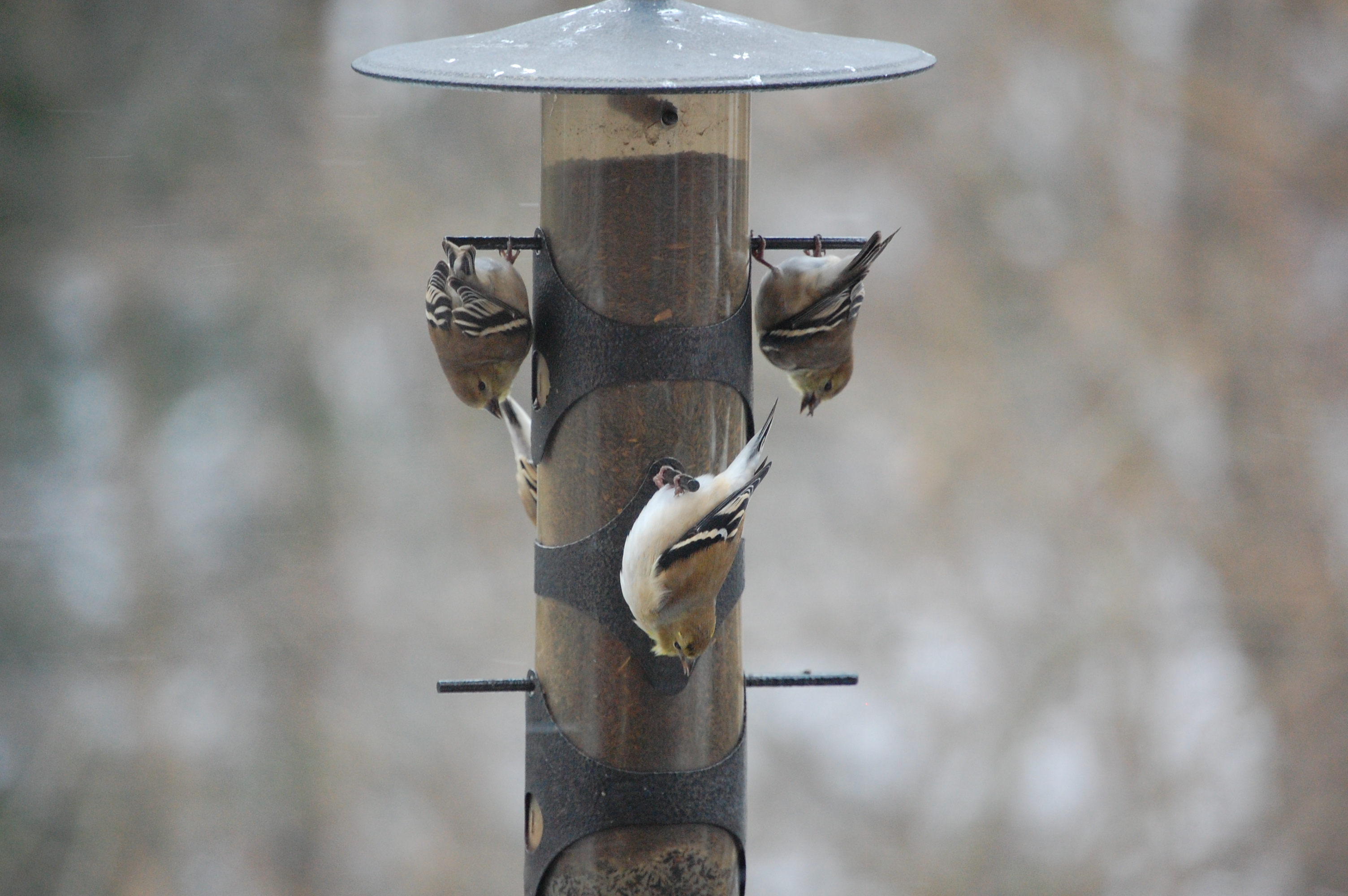 Additional Image 2