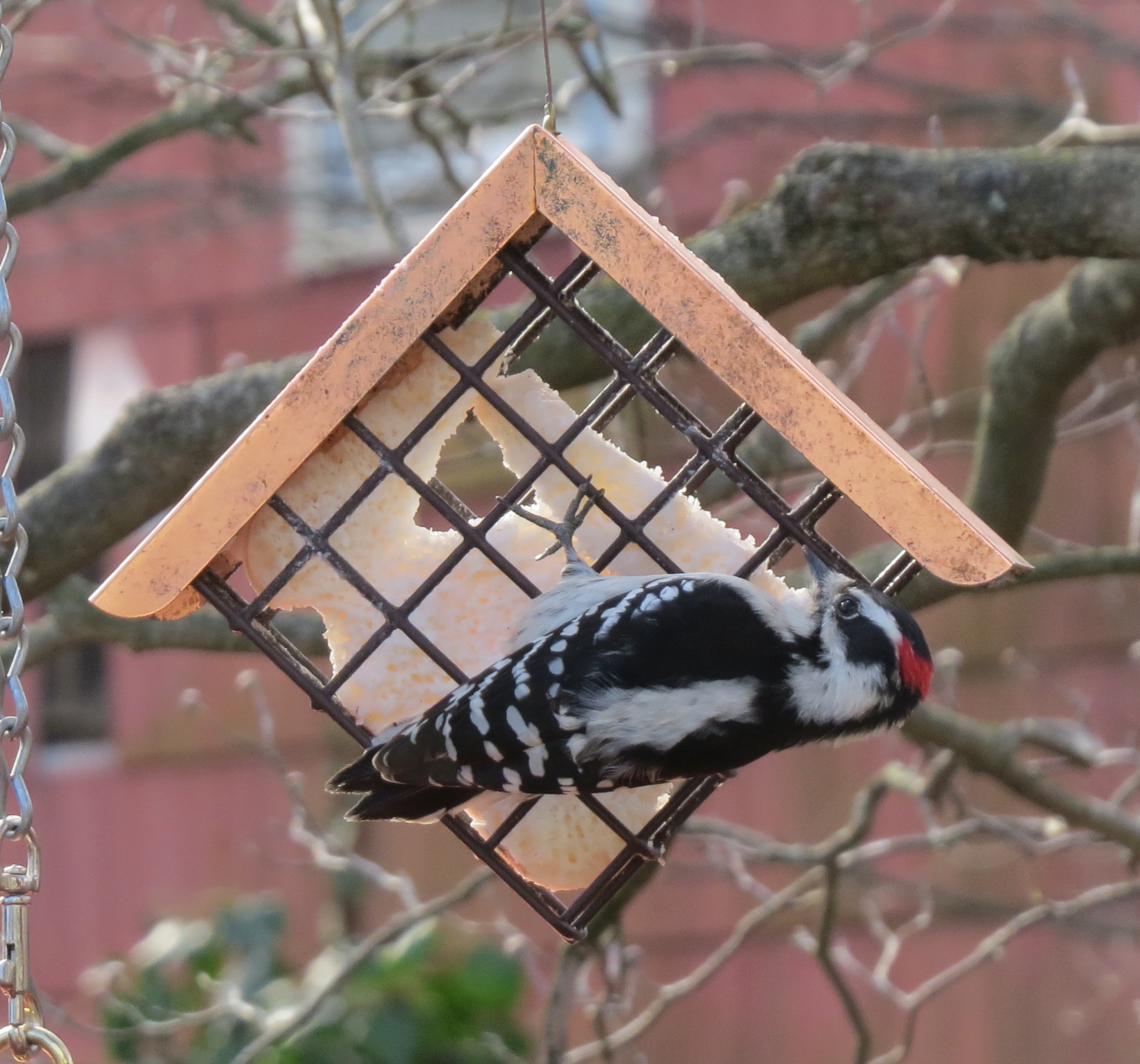 Additional Image 3