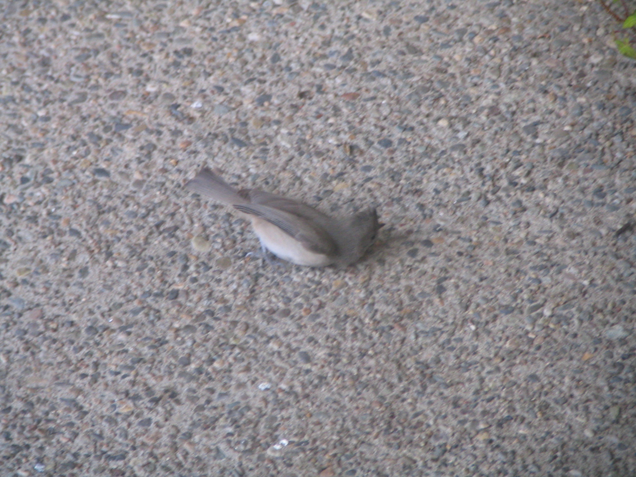 Additional Image 2