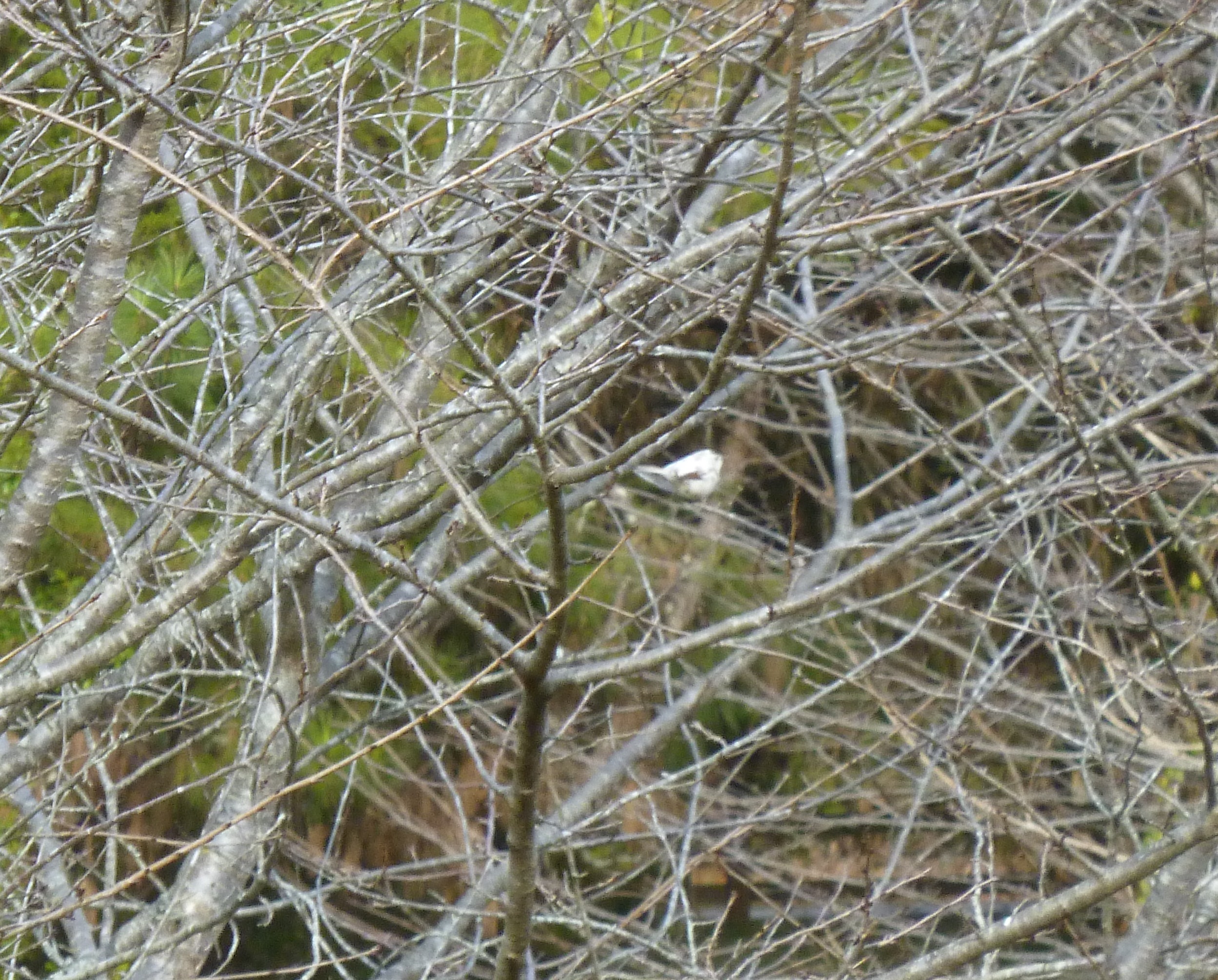 Additional Image 2