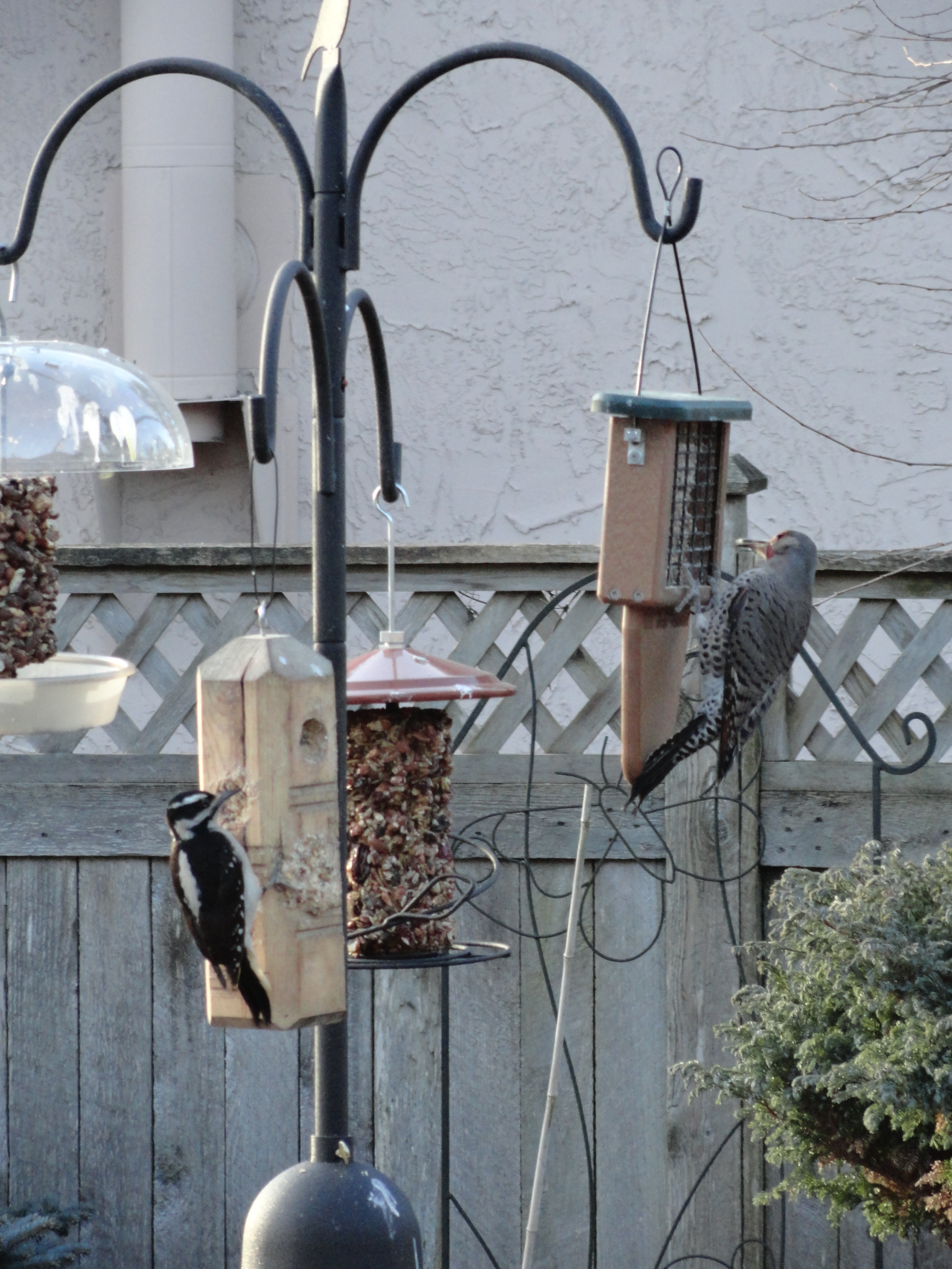 Additional Image 3