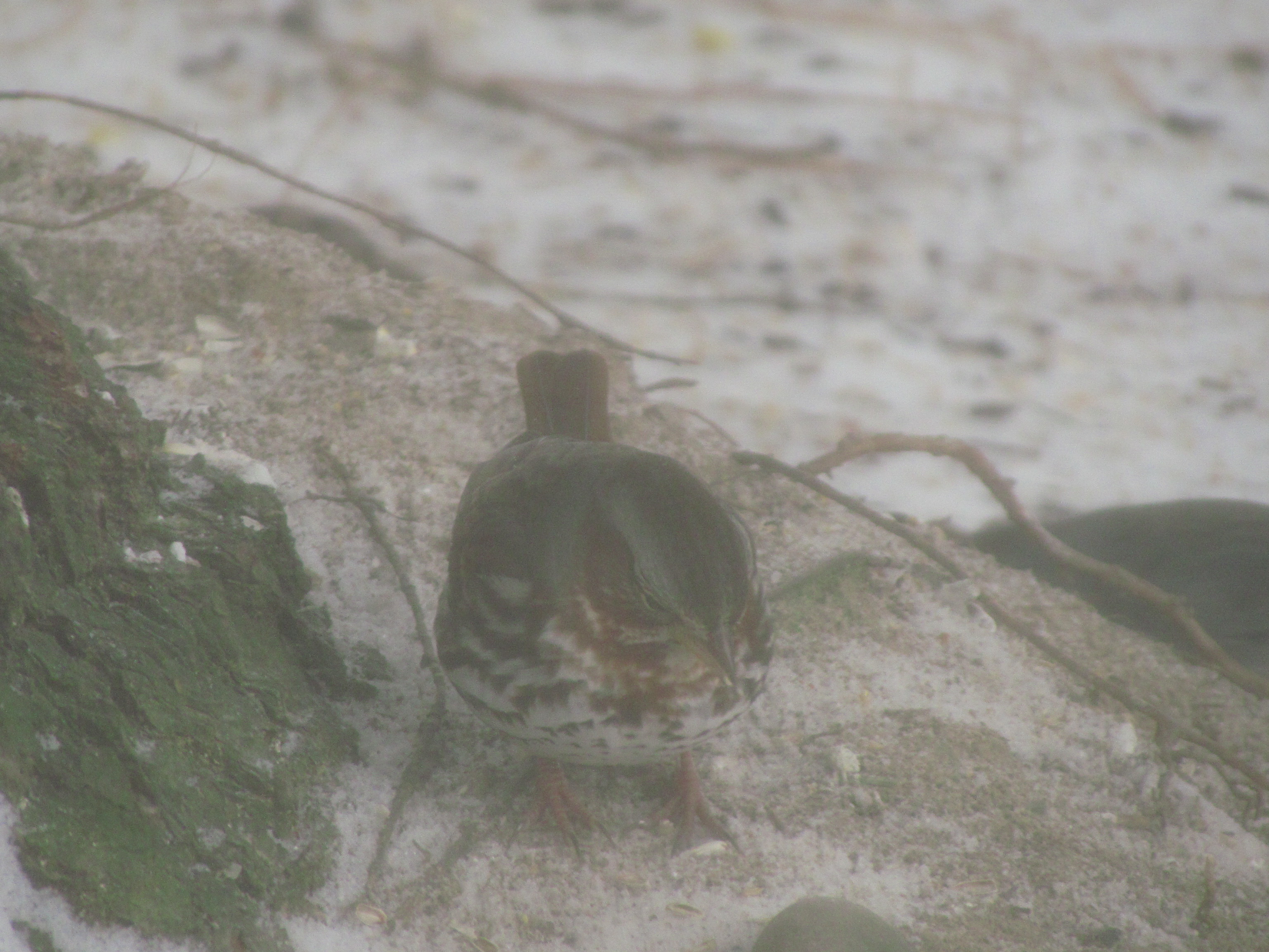 Additional Image 2