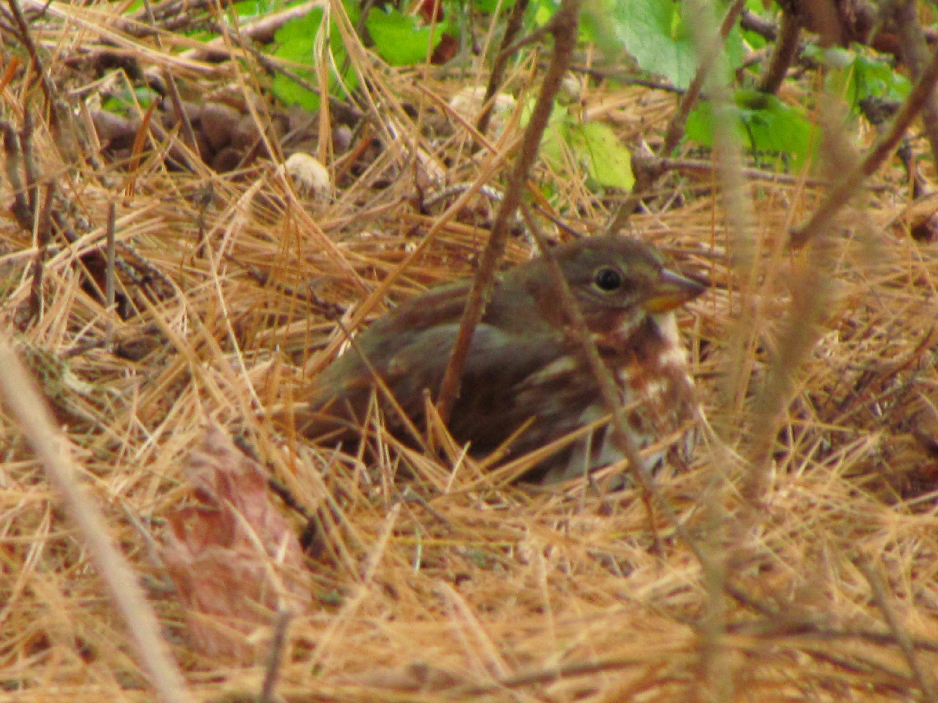 Additional Image 3
