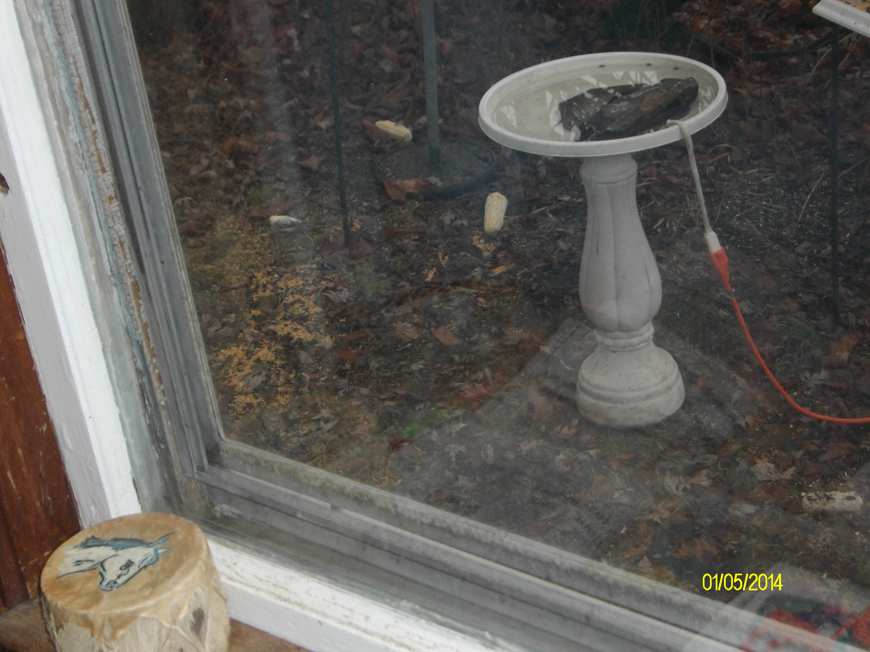 Additional Image 2