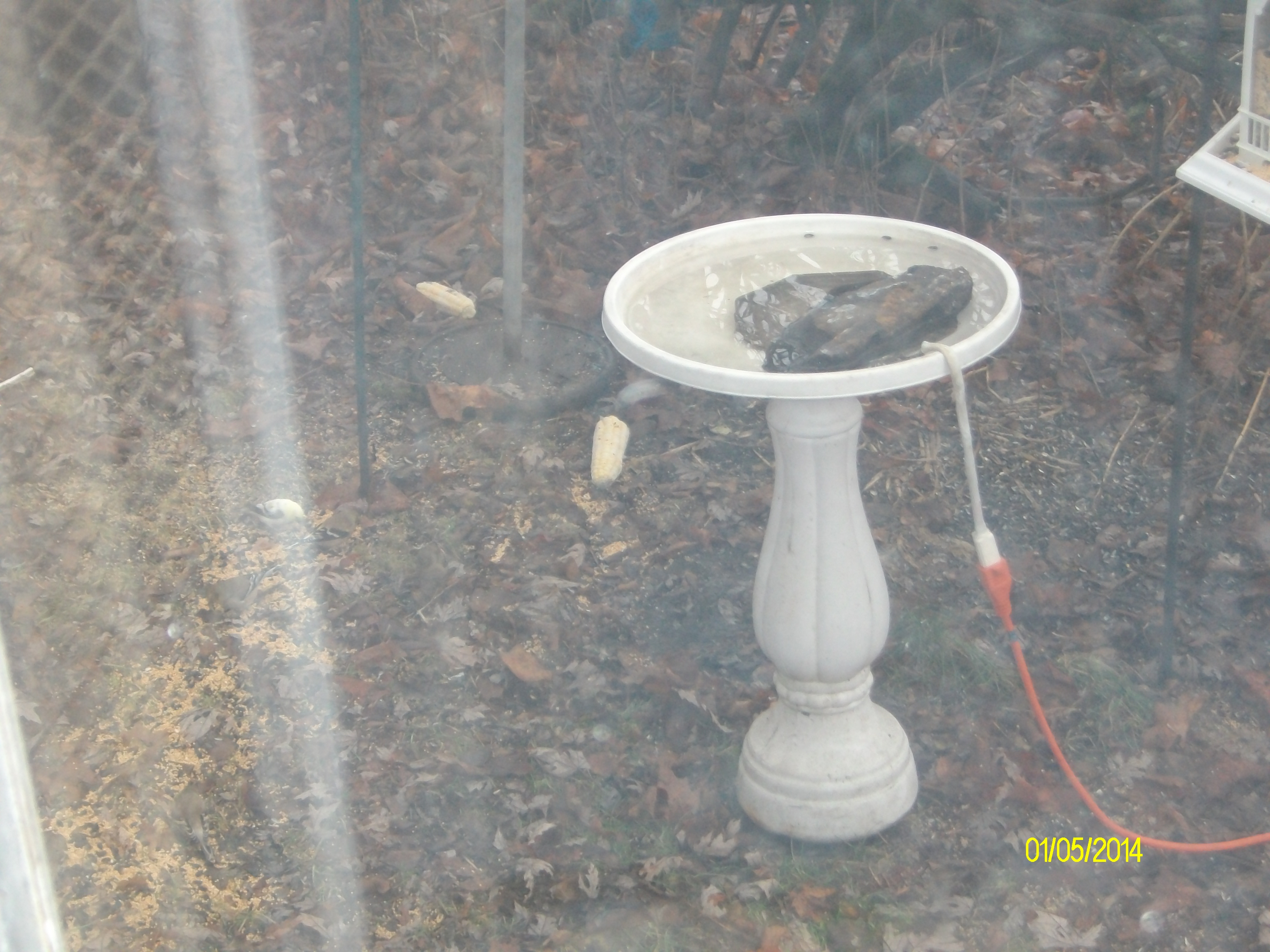 Additional Image 3