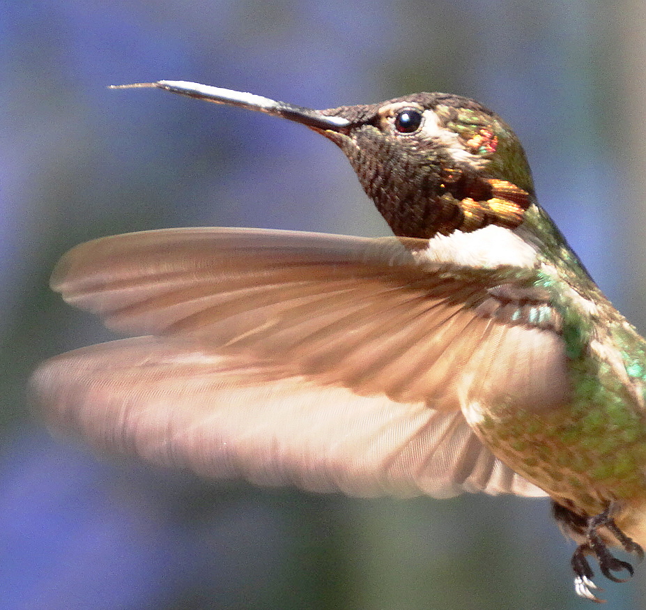 Featured Image