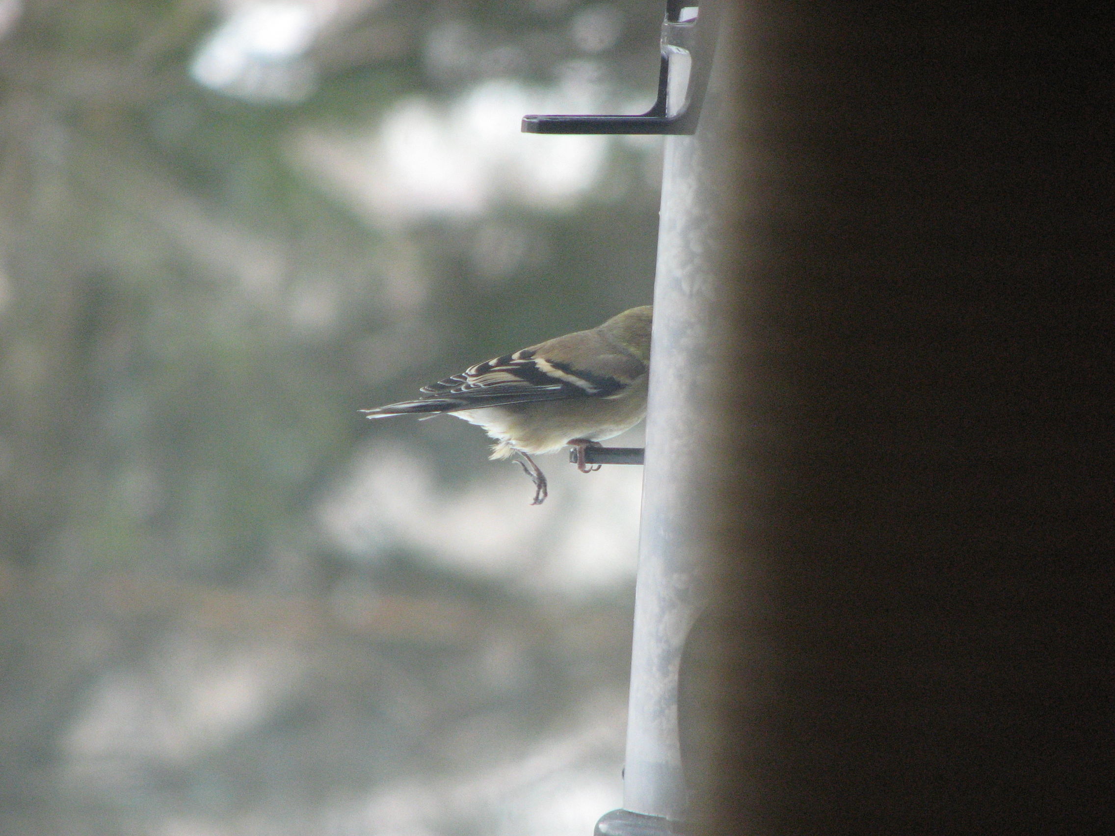 Additional Image 2
