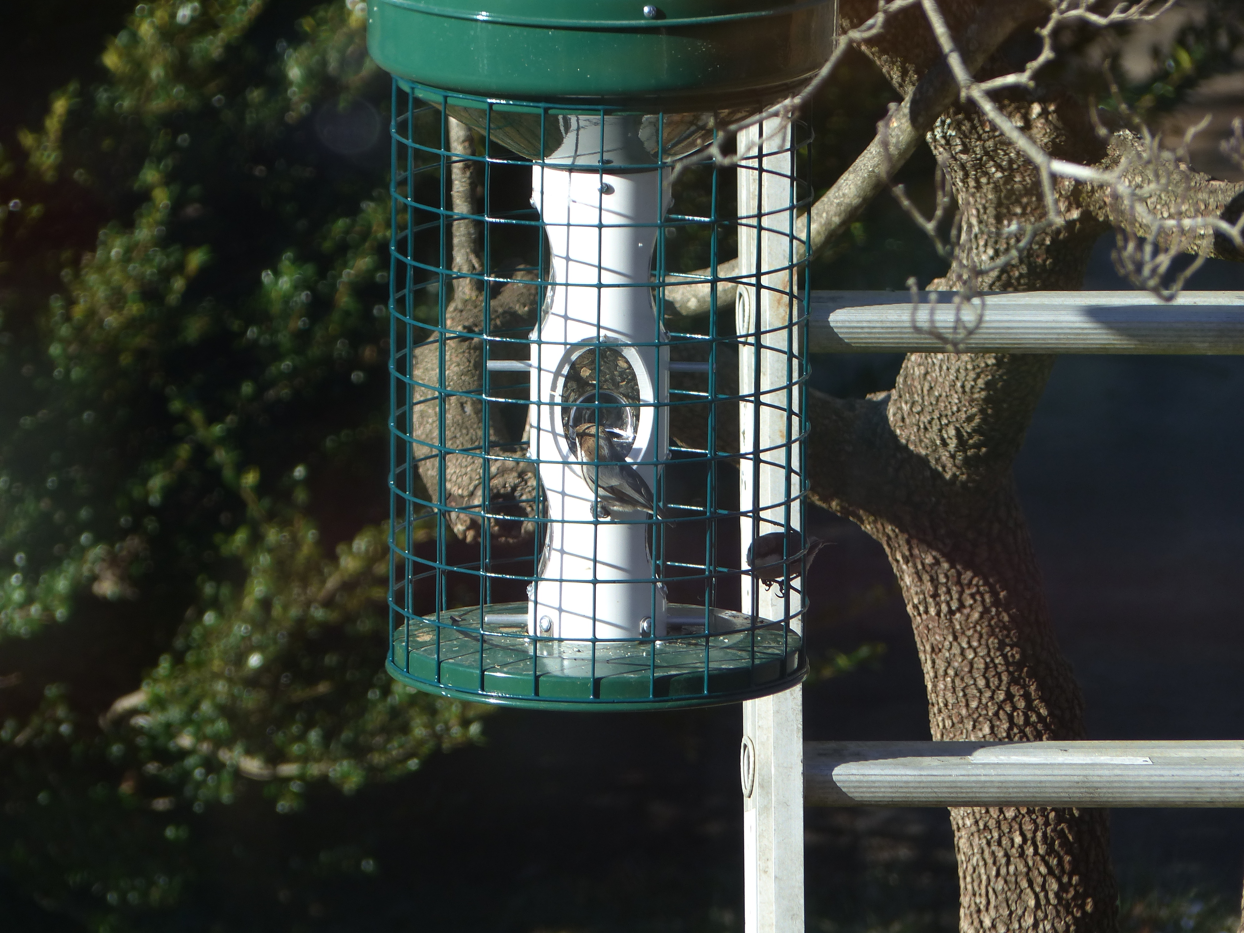 Additional Image 2