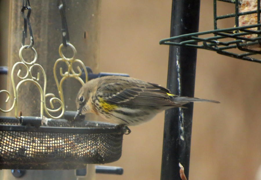 Additional Image 3