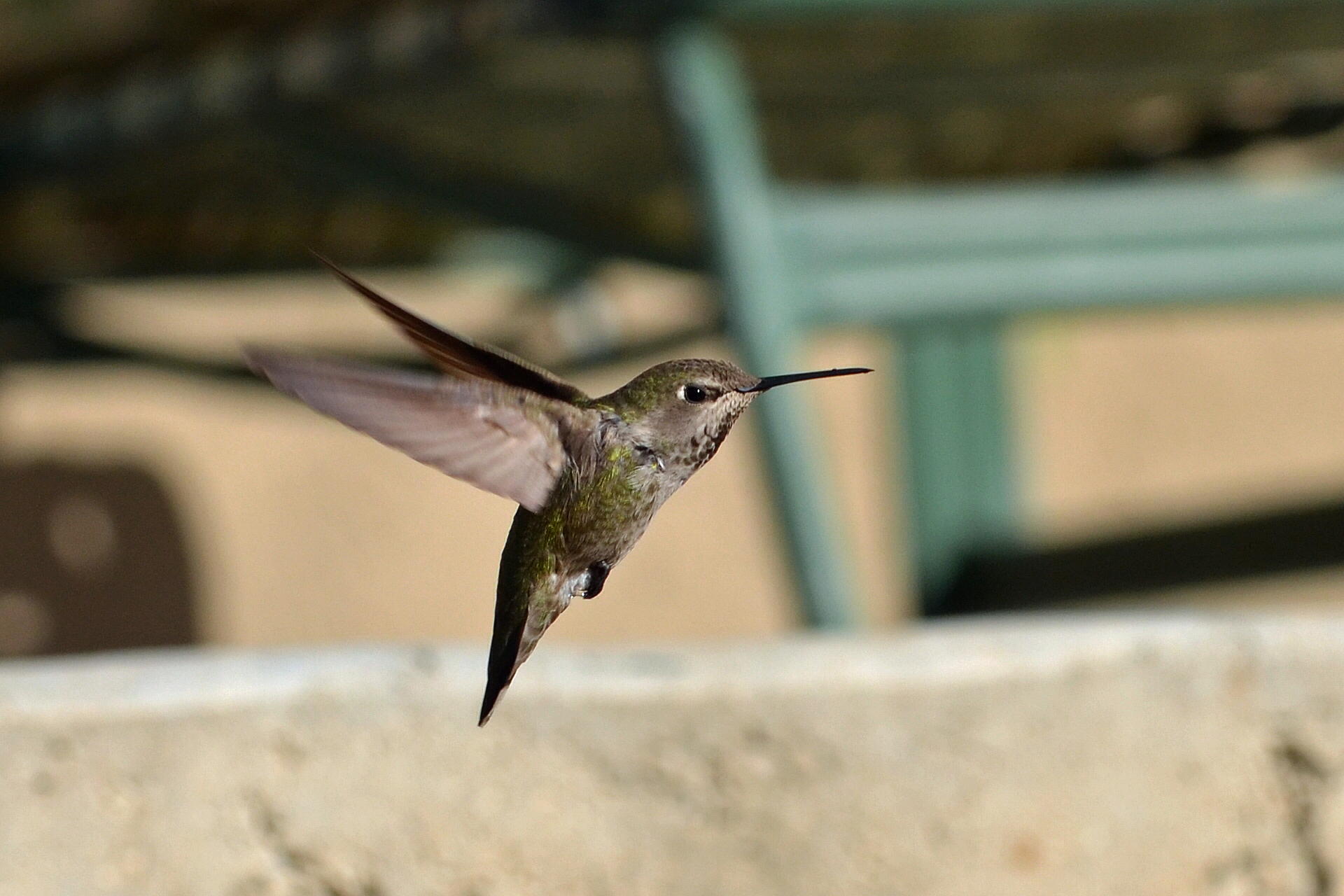 Featured Image