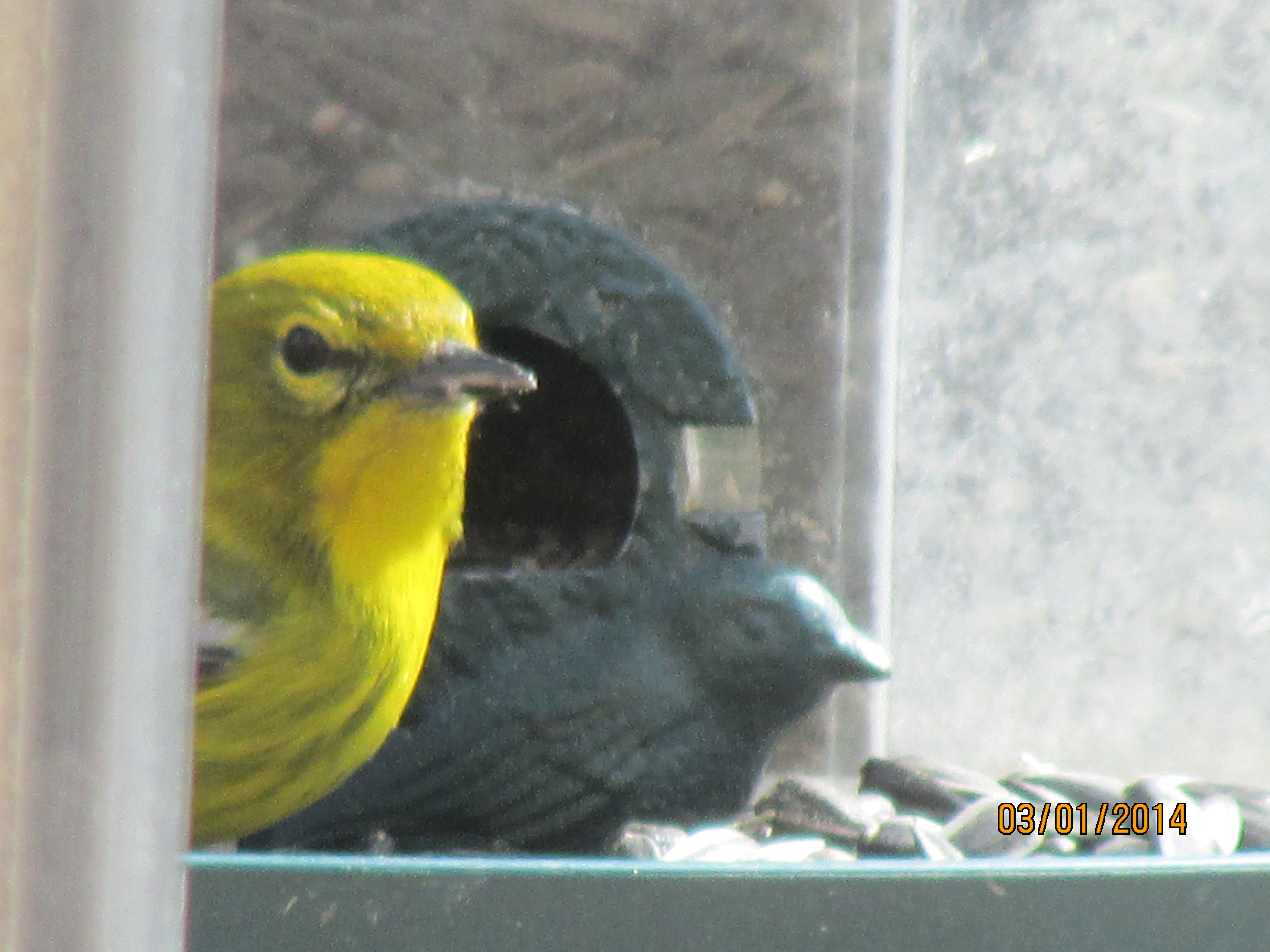 Additional Image 2