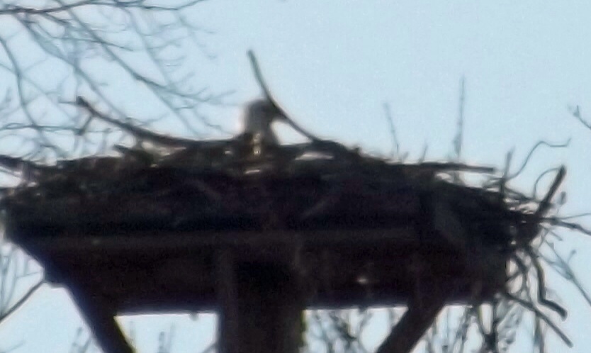 Additional Image 2