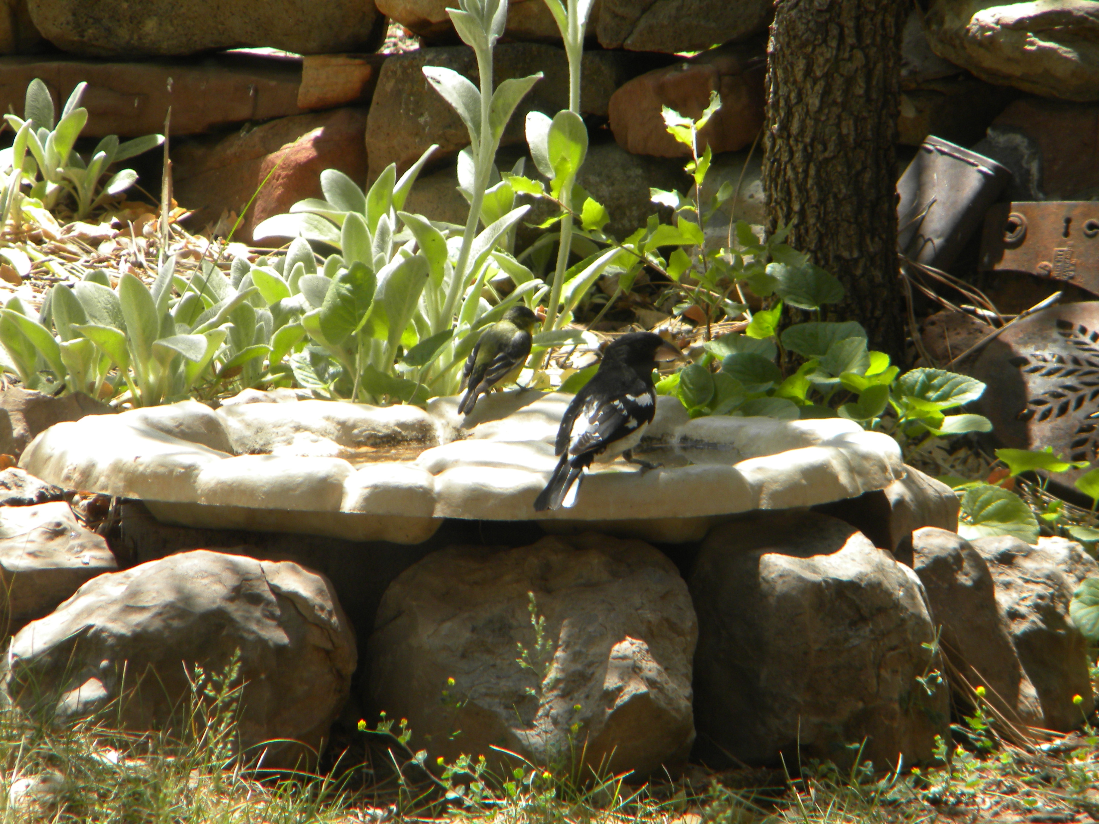 Featured Image