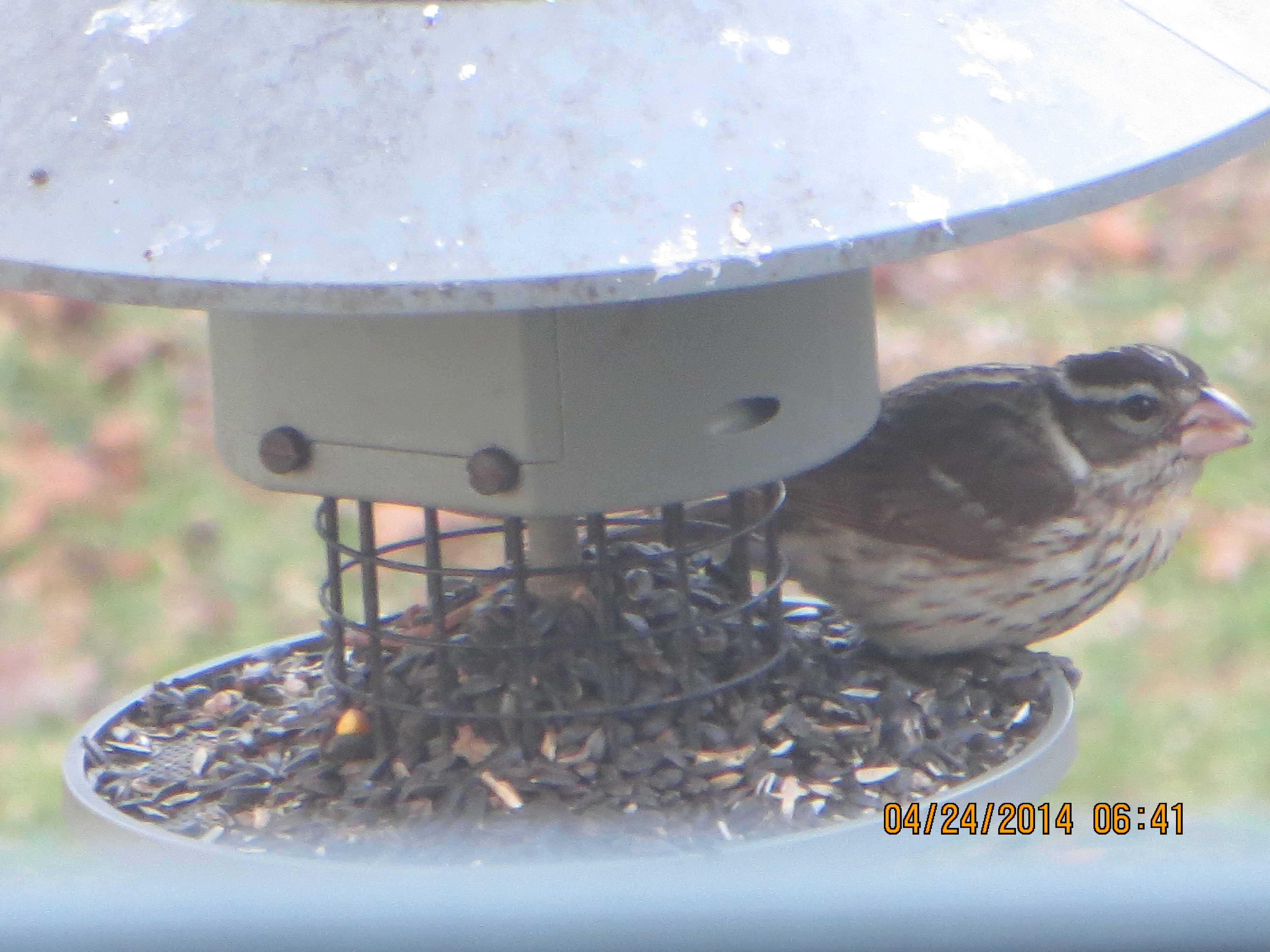 Additional Image 4