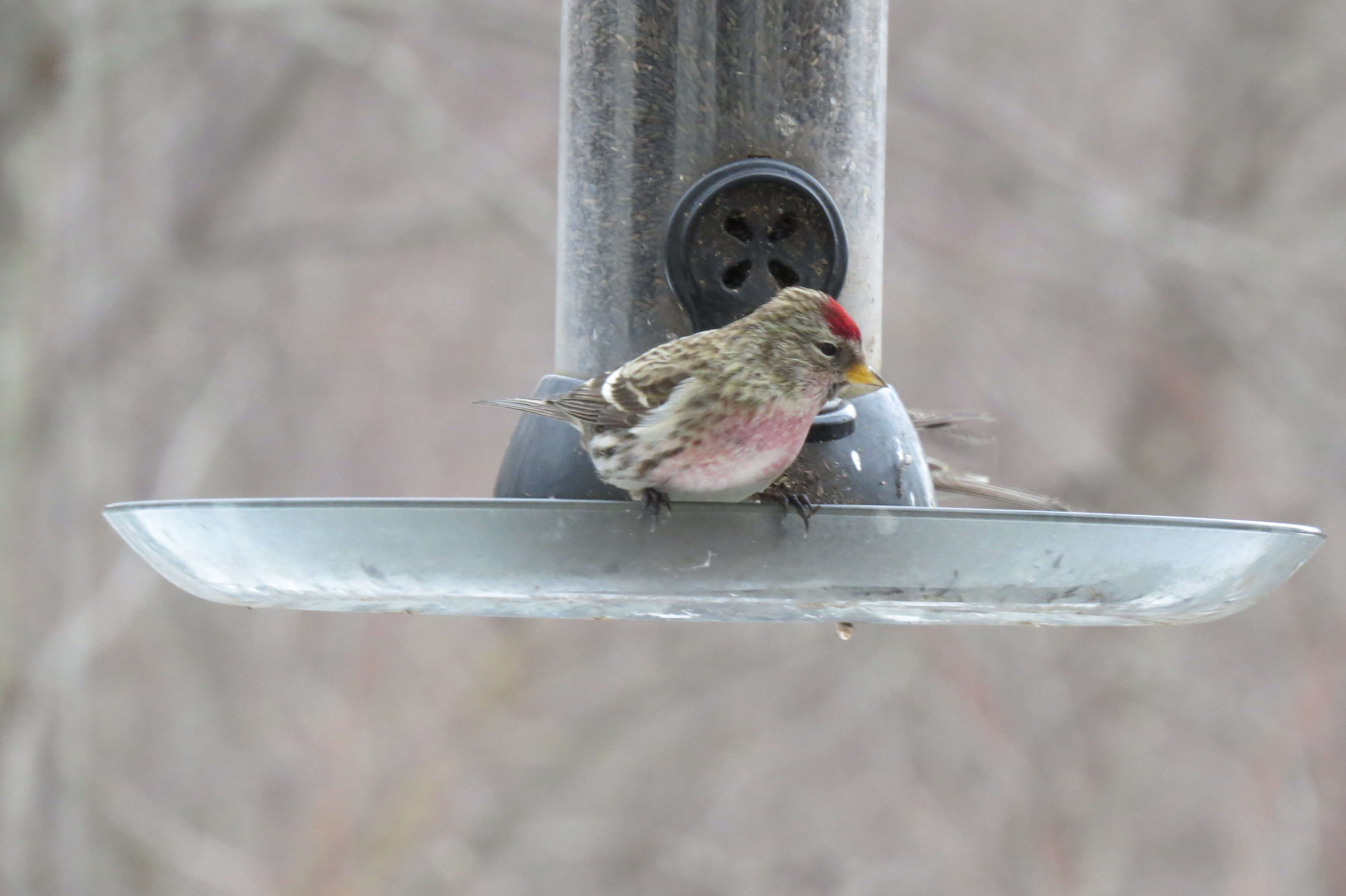 Additional Image 3