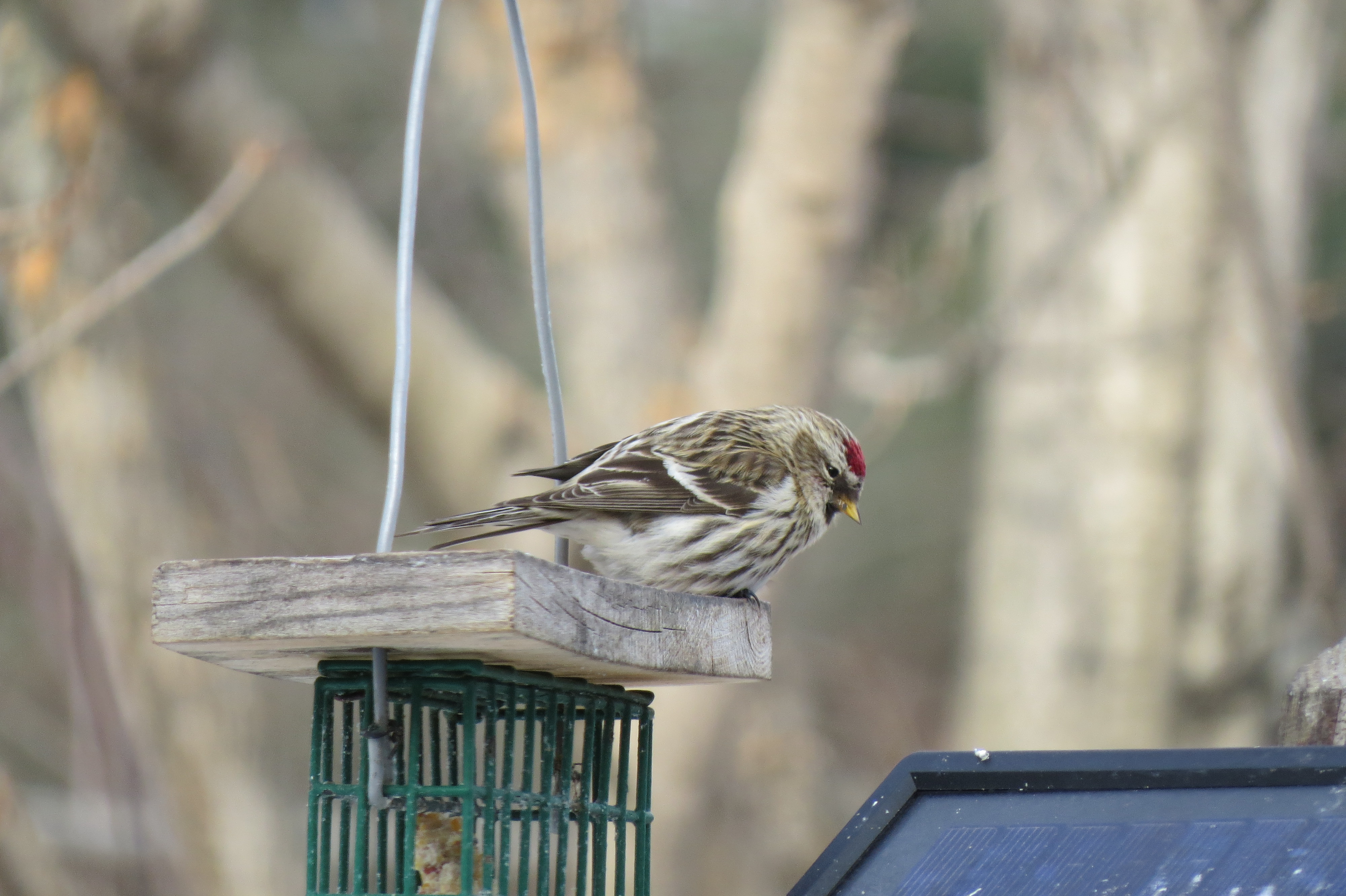 Additional Image 5