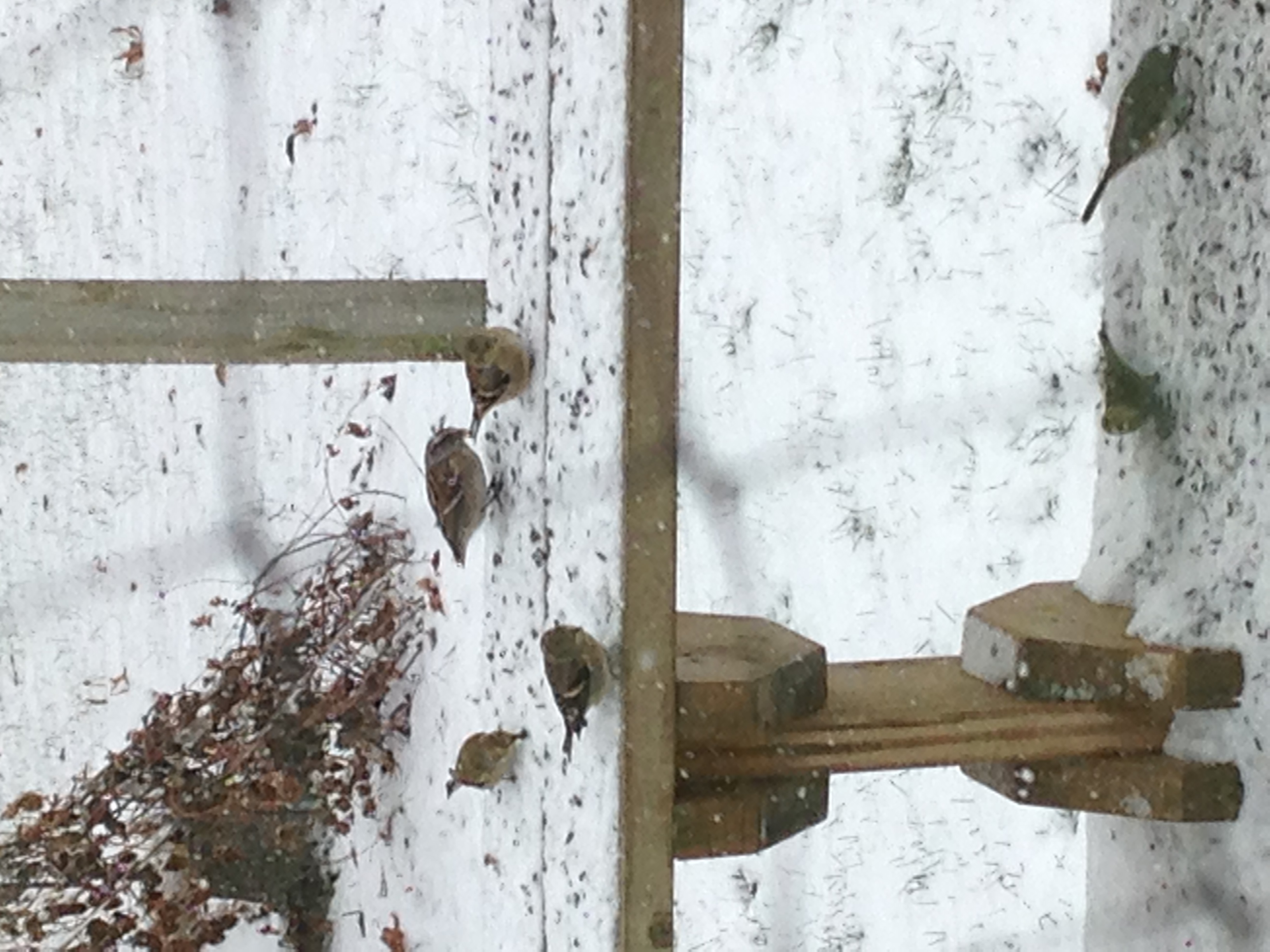 Additional Image 2