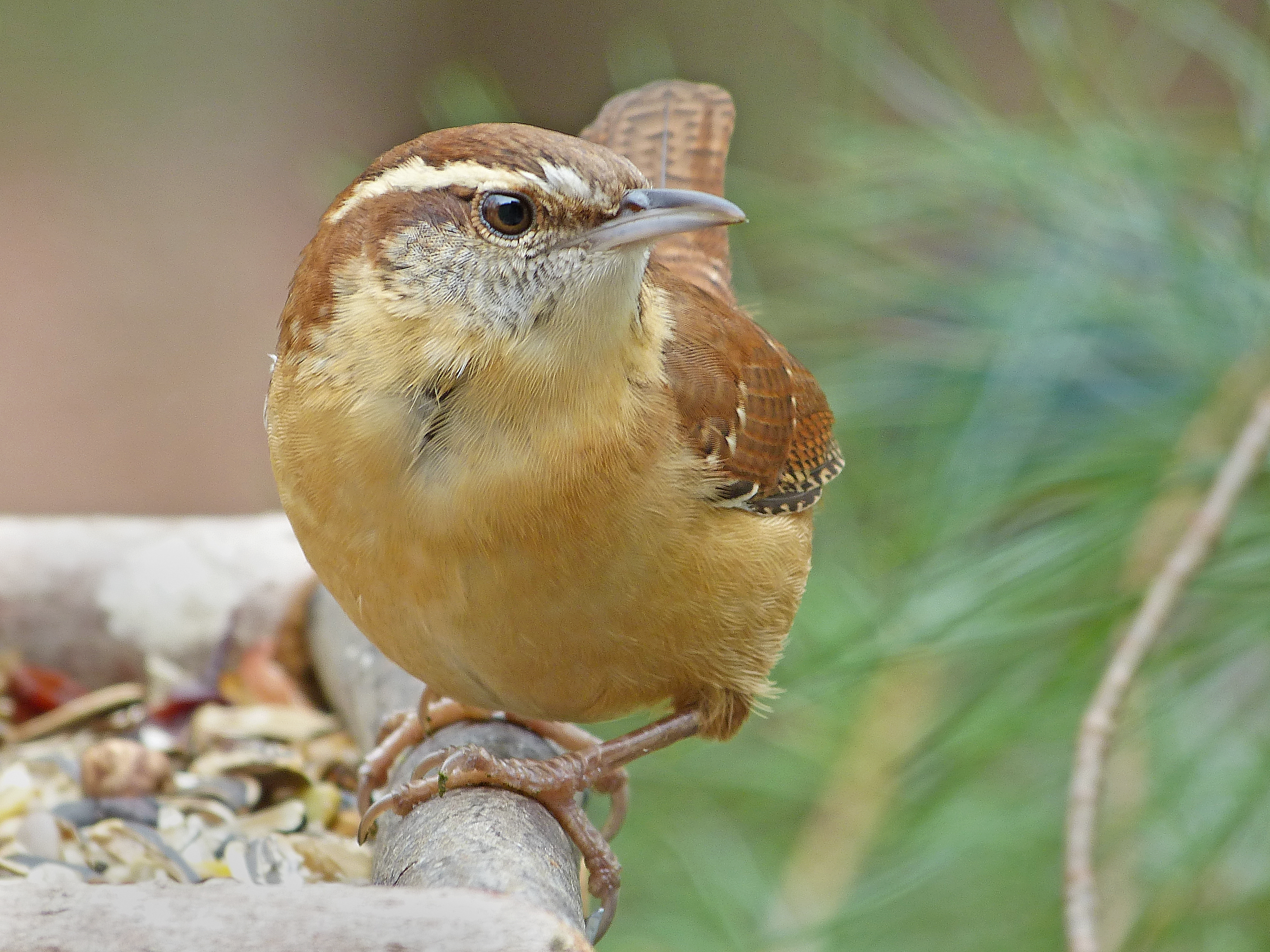 Featured Image