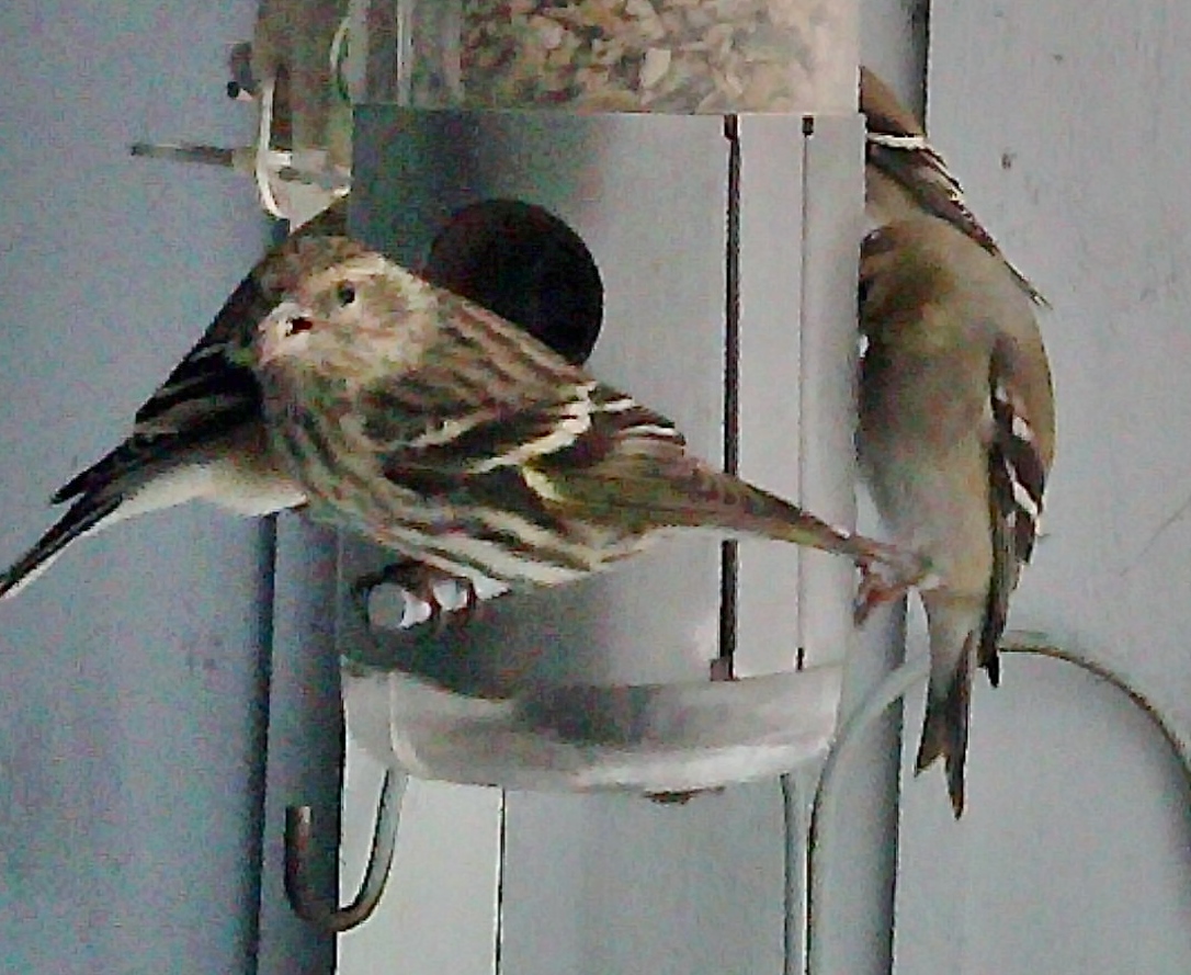 Additional Image 2