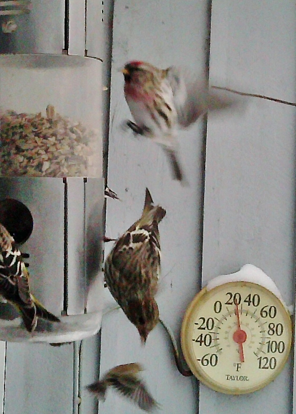 Additional Image 4