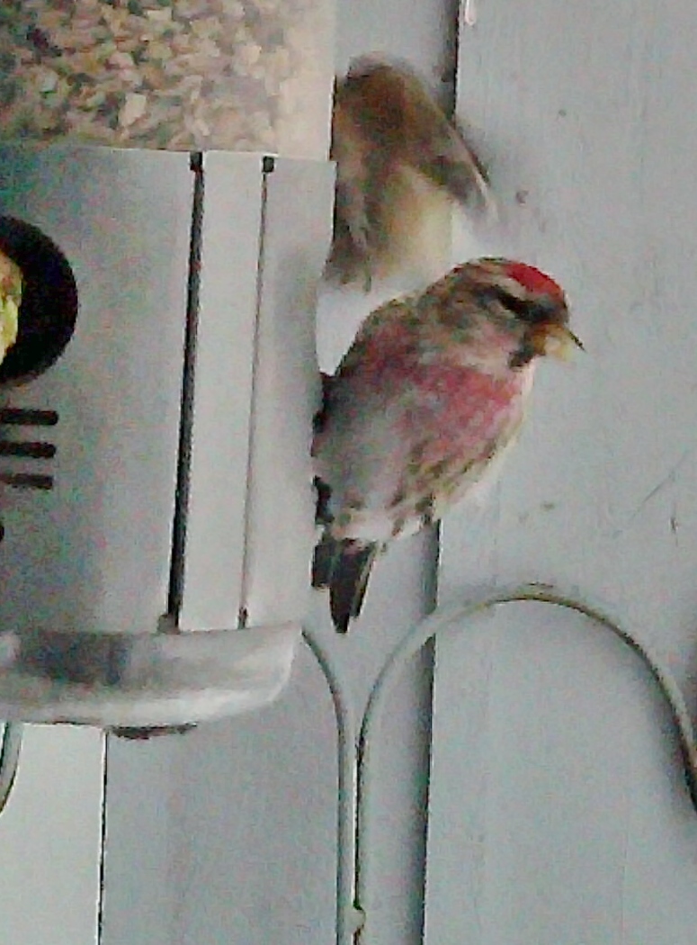 Additional Image 3