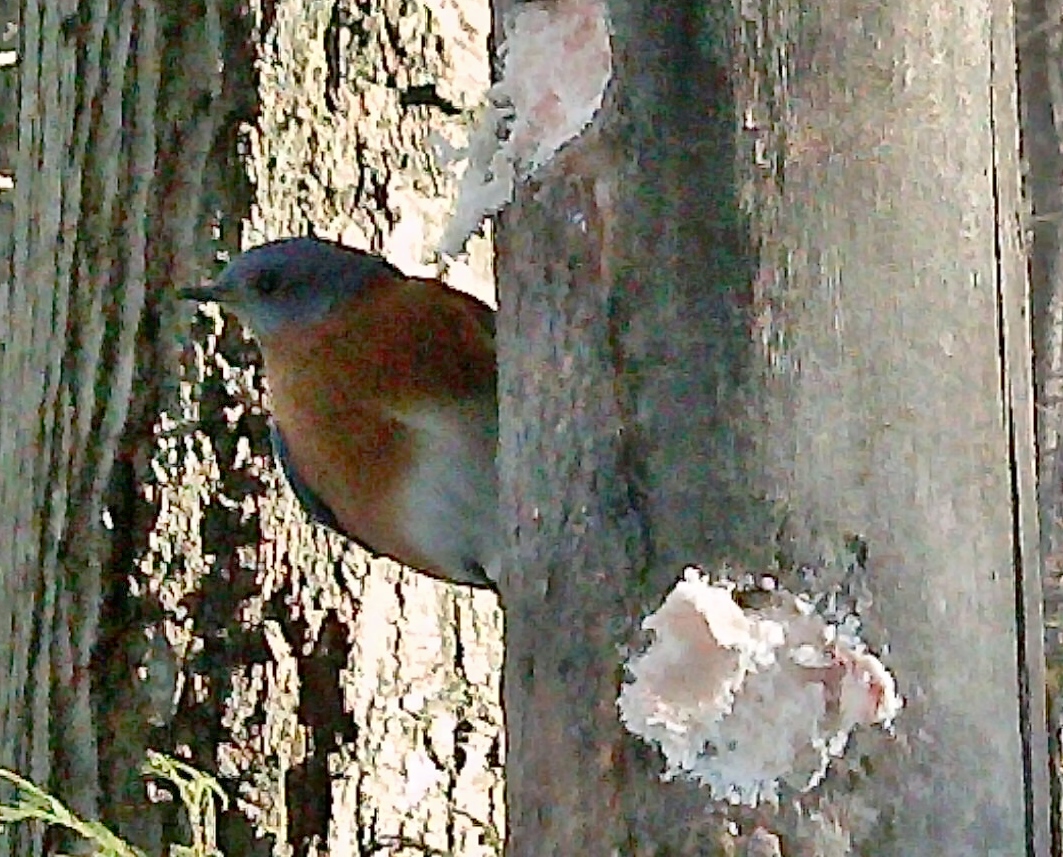 Additional Image 2