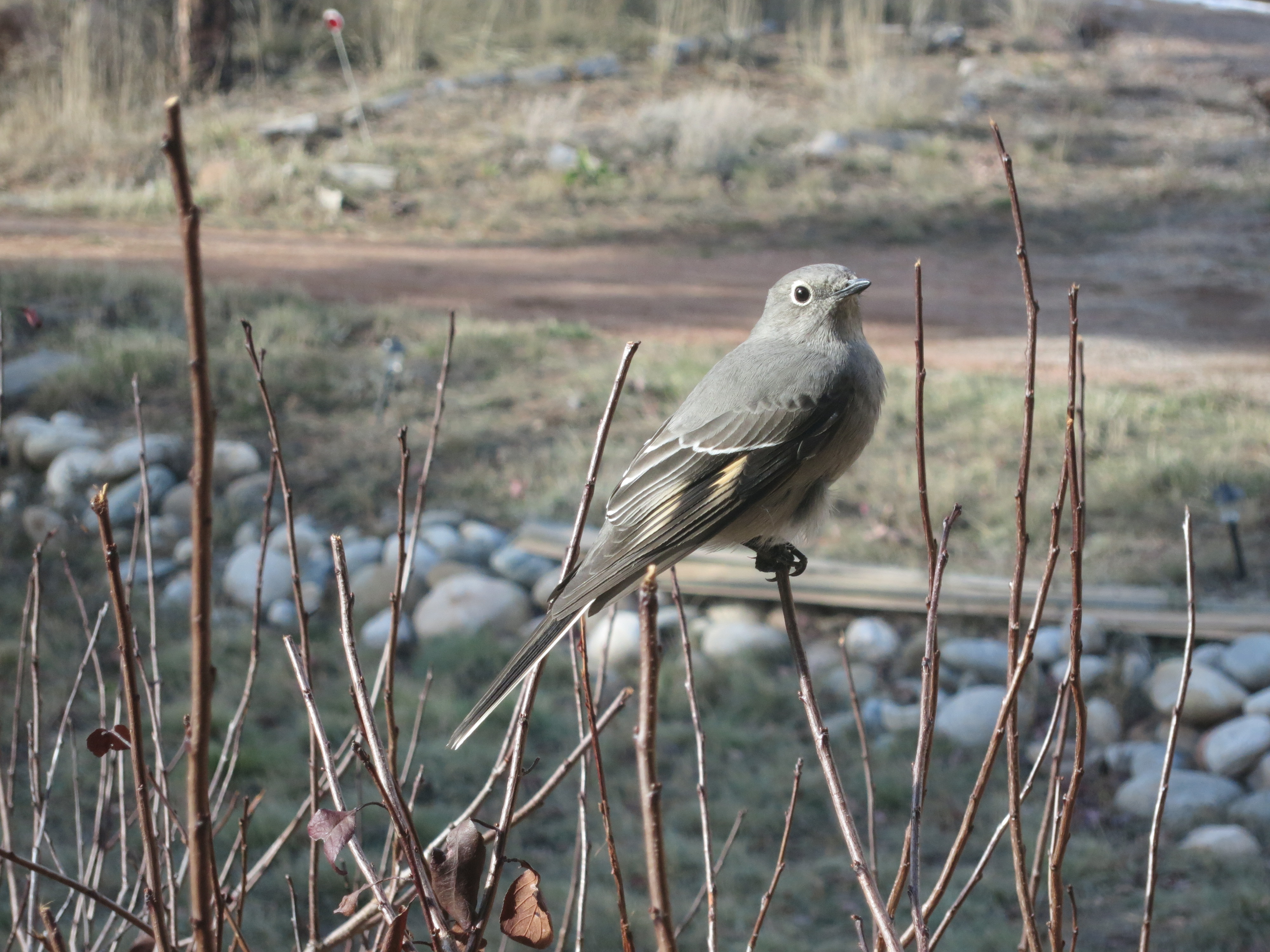 Featured Image