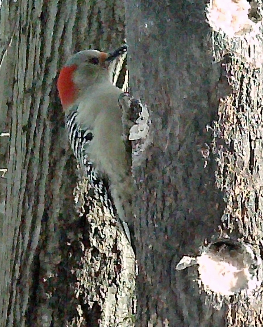 Additional Image 5