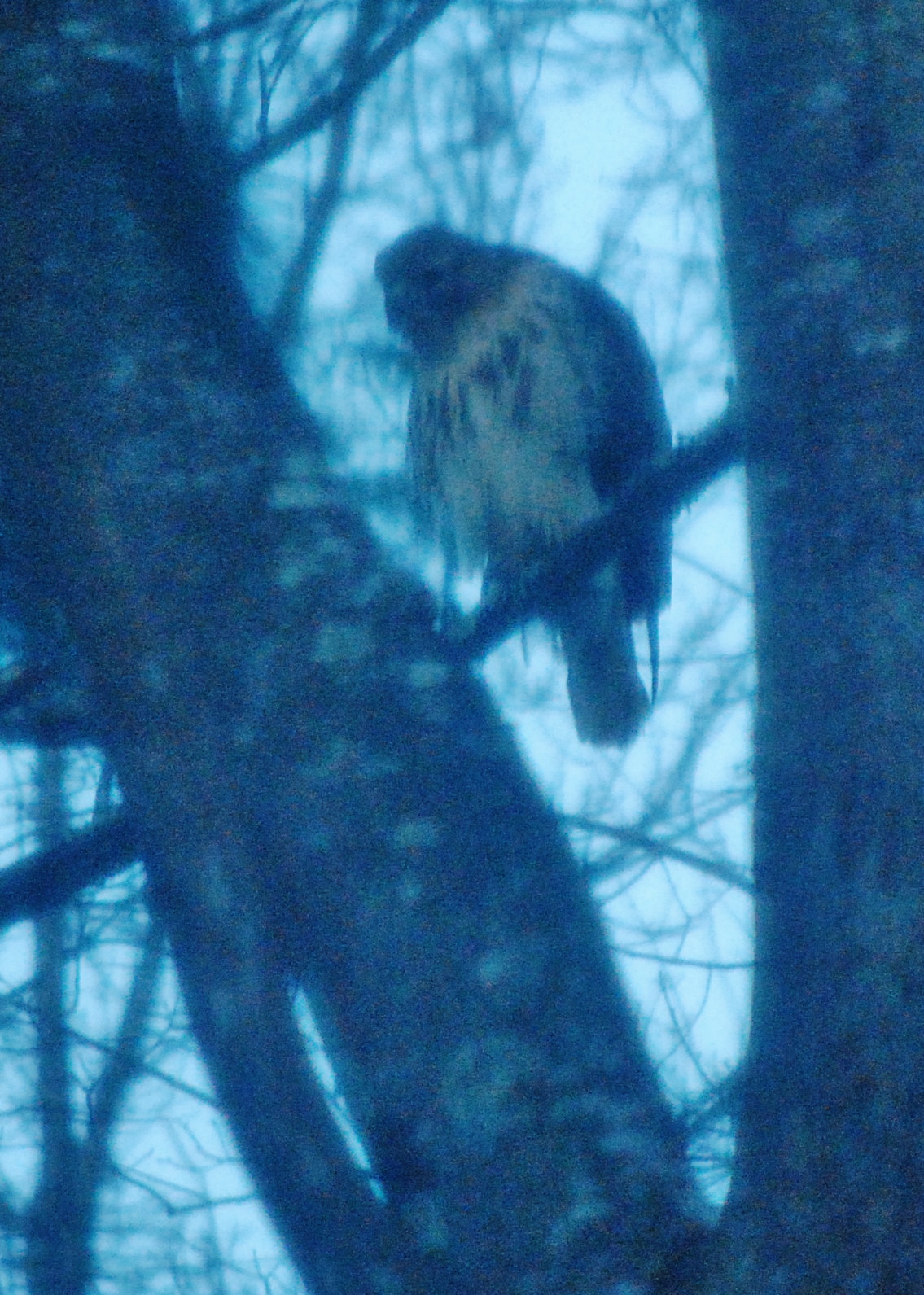 Additional Image 2
