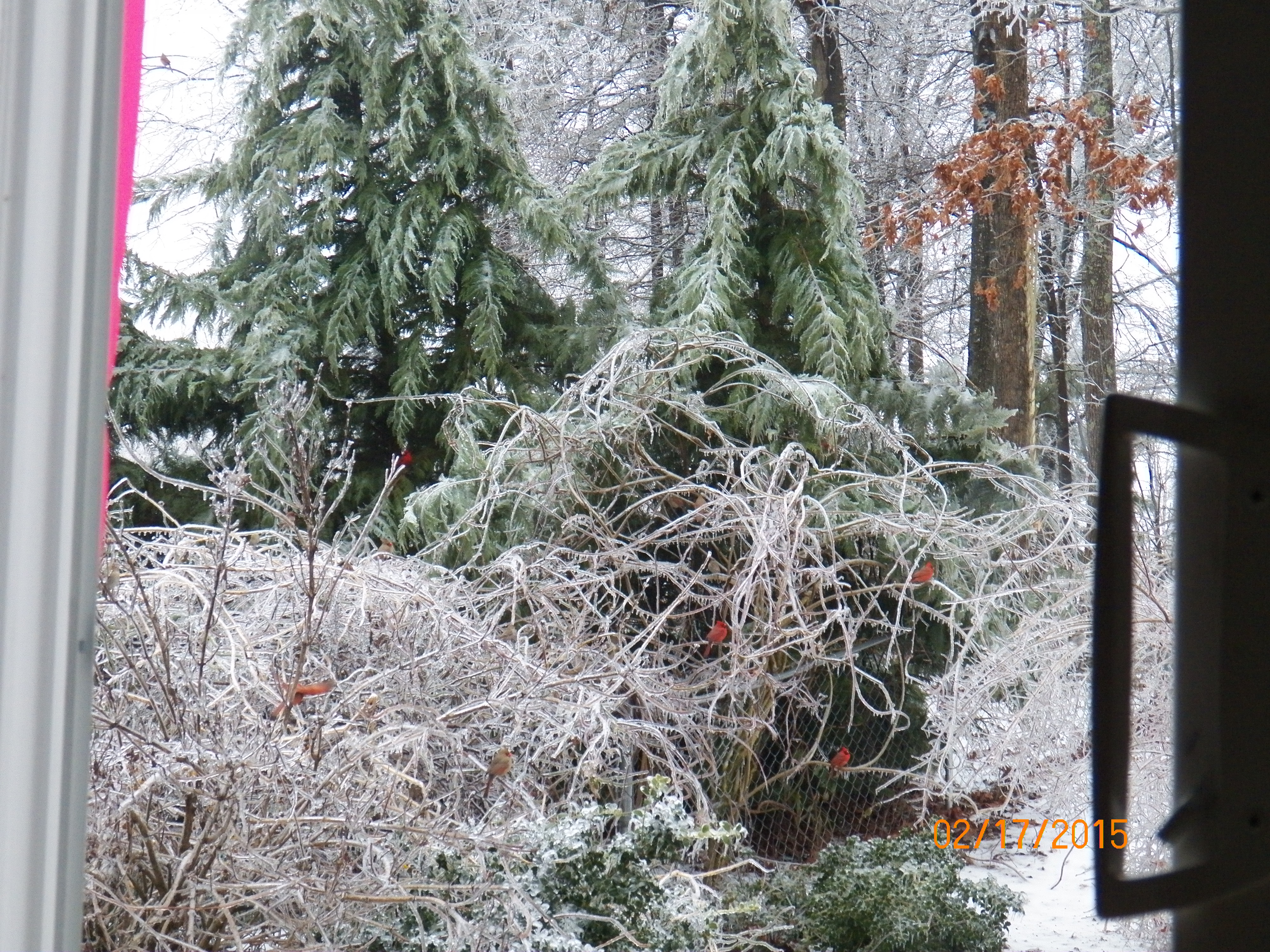 Additional Image 3