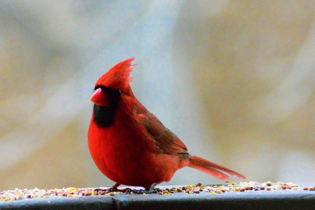 Featured Image