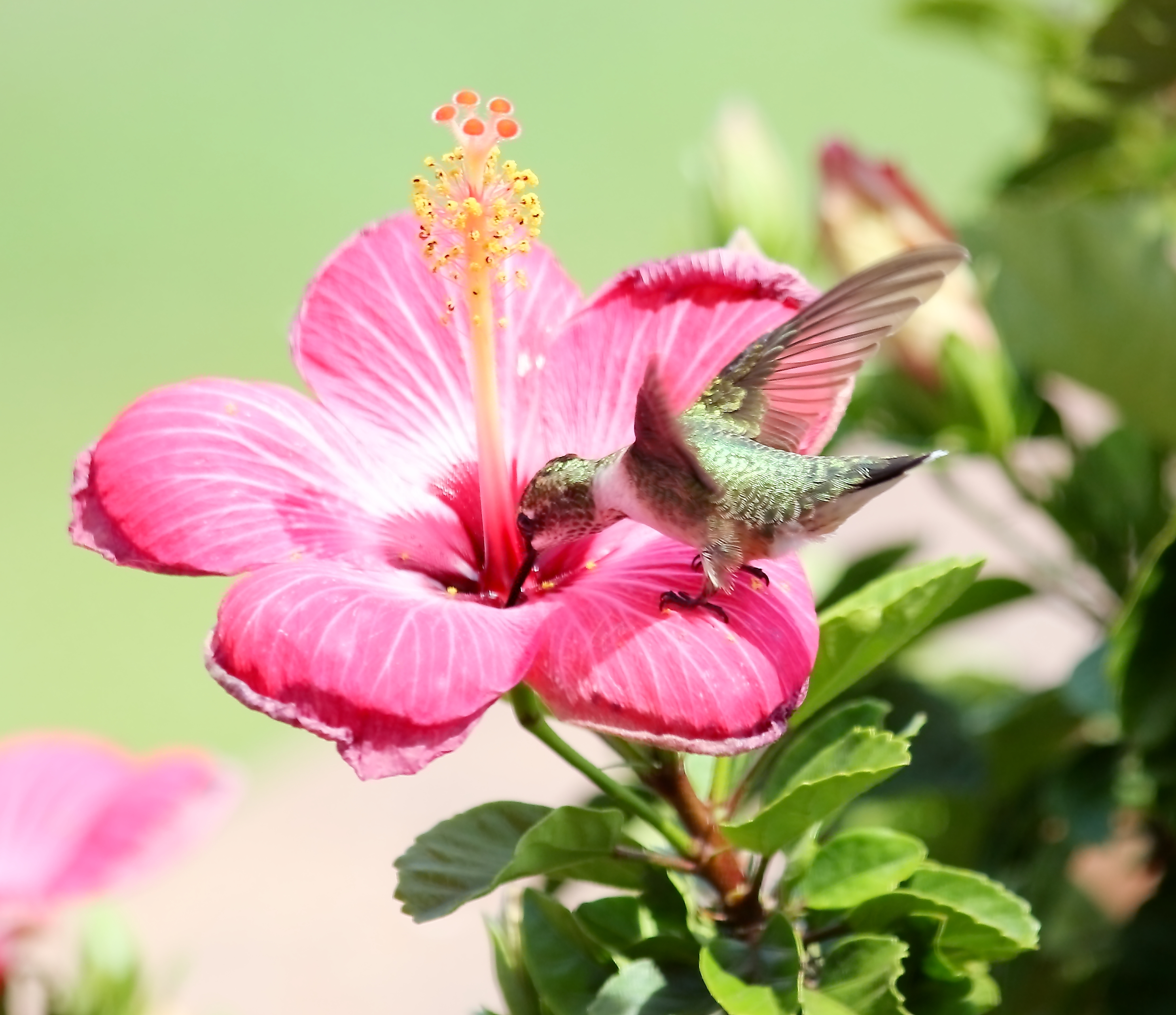 Featured Image