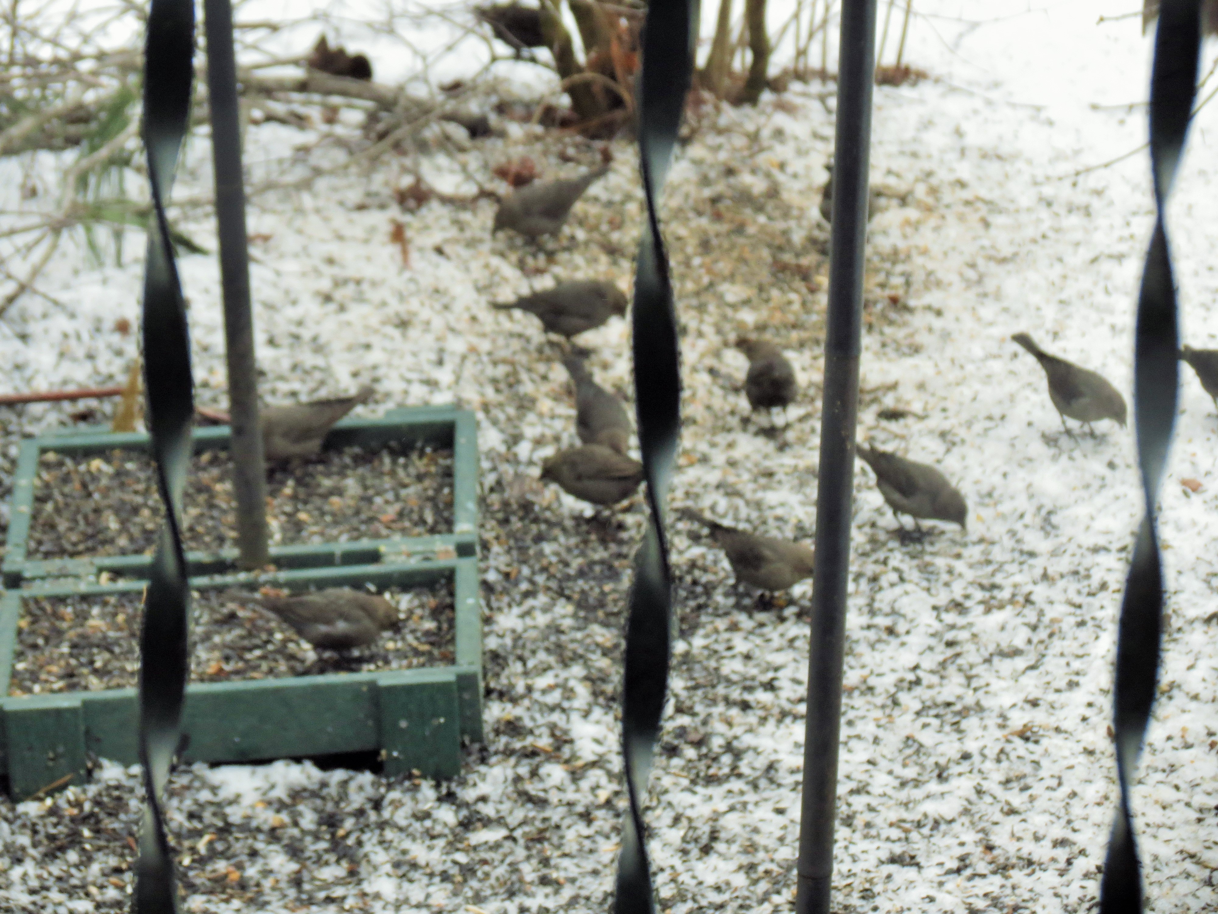 Additional Image 2